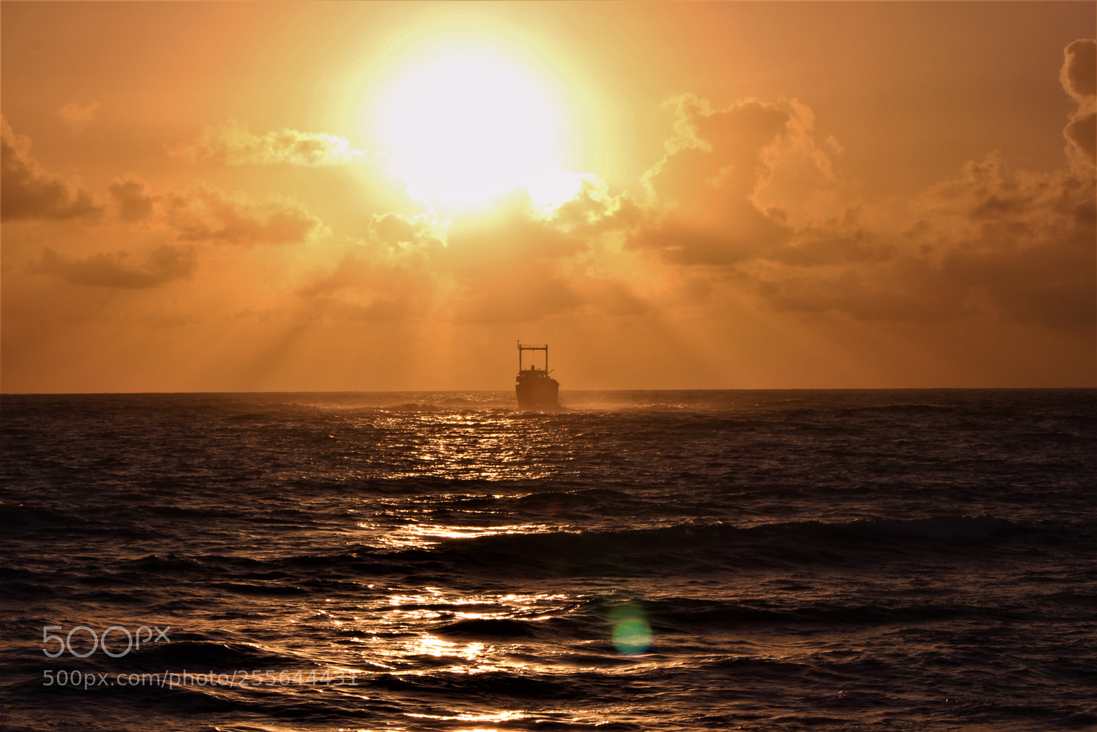 Canon EOS 700D (EOS Rebel T5i / EOS Kiss X7i) sample photo. Golden sun photography