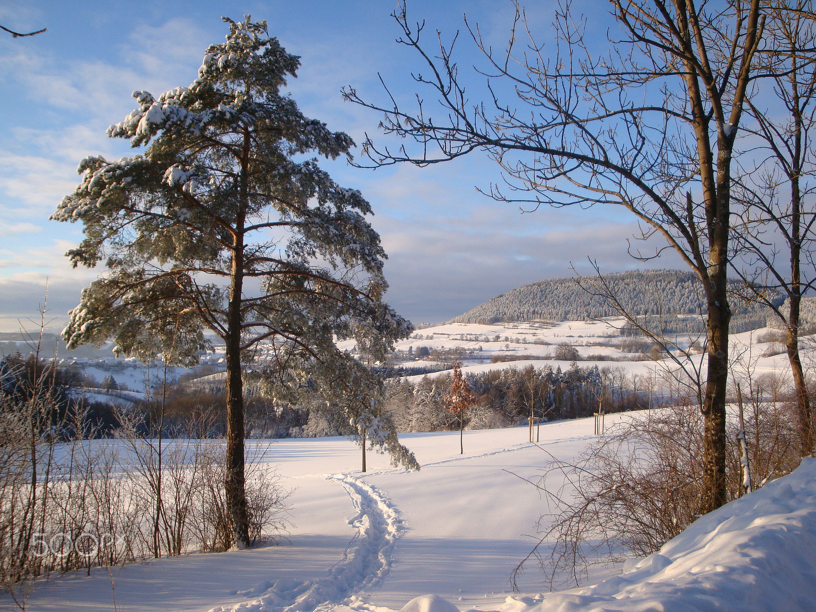 Sony Cyber-shot DSC-W170 sample photo. Peaceful winter landscape photography
