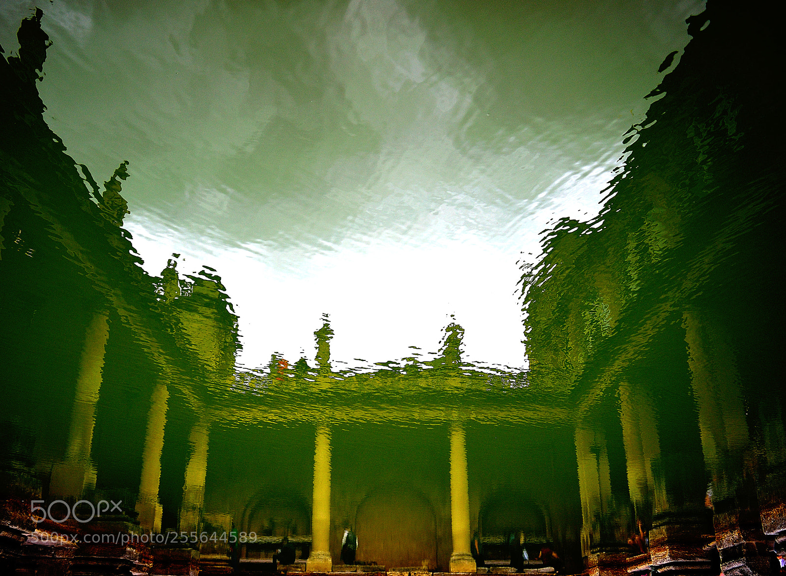 Nikon D3300 sample photo. Reflections in a green photography