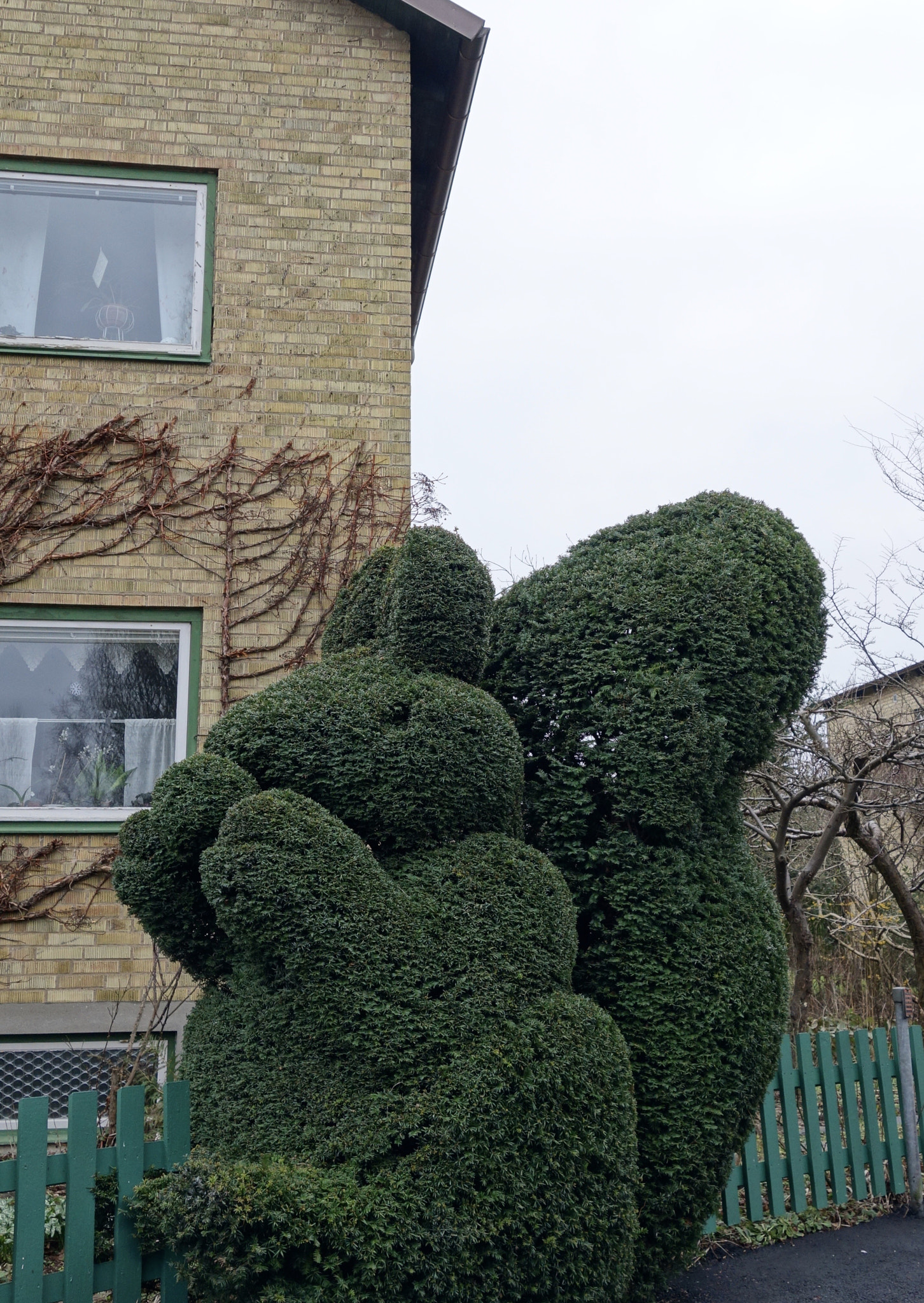 Sony Cyber-shot DSC-QX100 sample photo. A bush outside my home photography