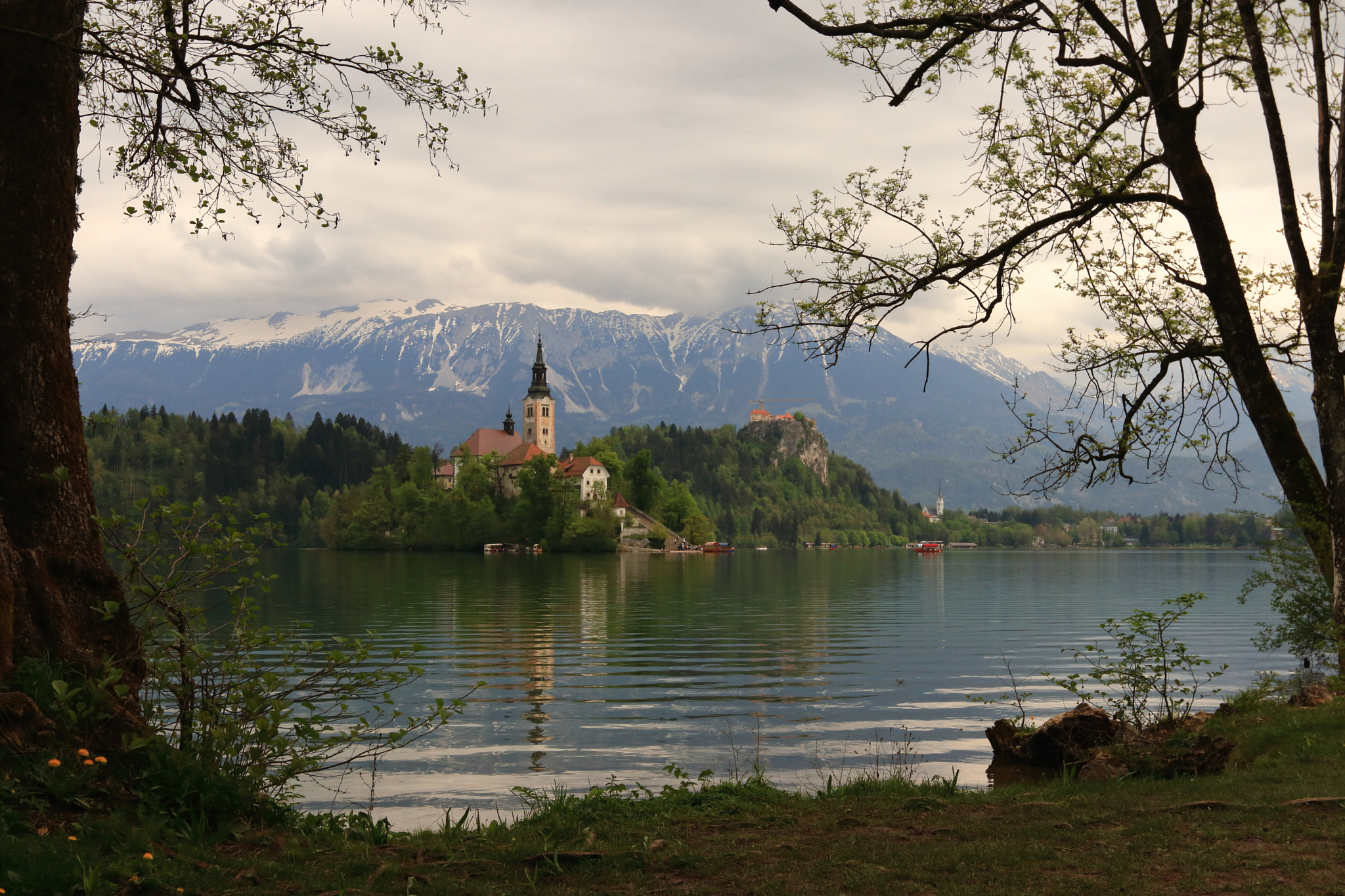 Canon EOS 80D + Canon EF 16-35mm F2.8L II USM sample photo. Fairy tale view of lake bled photography