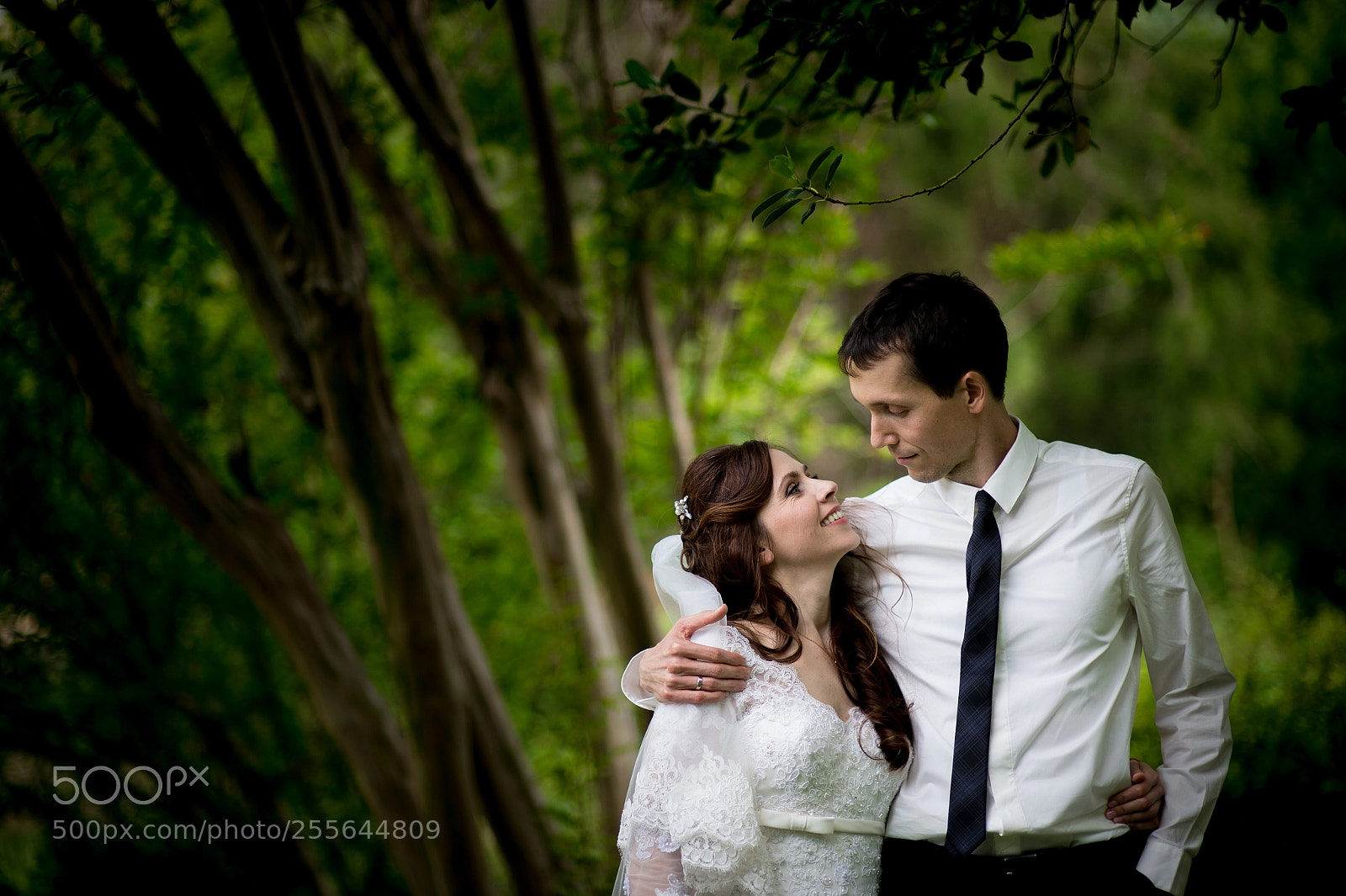 Nikon Df sample photo. Natasha&igor wedding photography