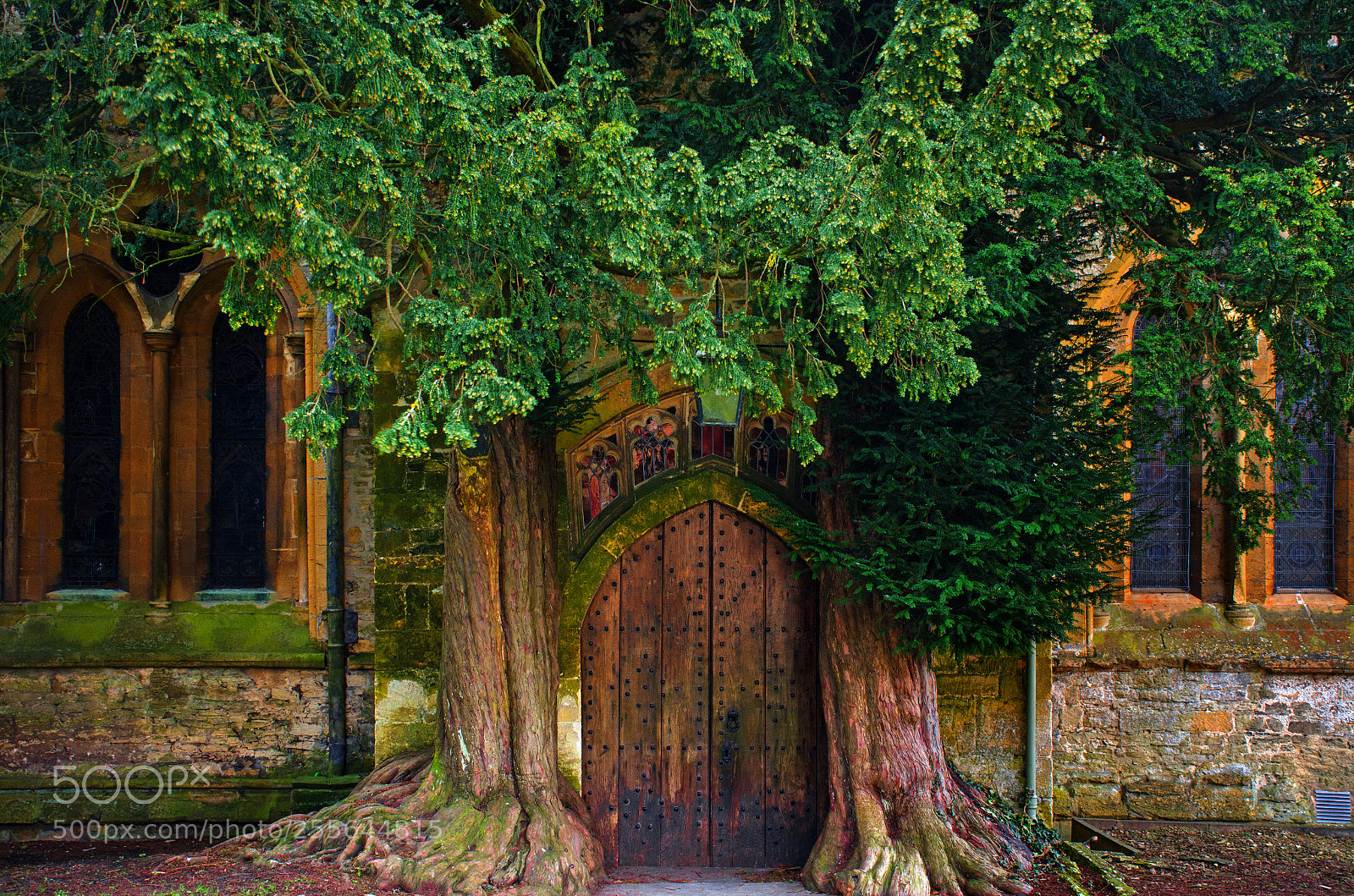 Nikon D7000 sample photo. St edward's, stow-on-the-wold. gloucestershire photography