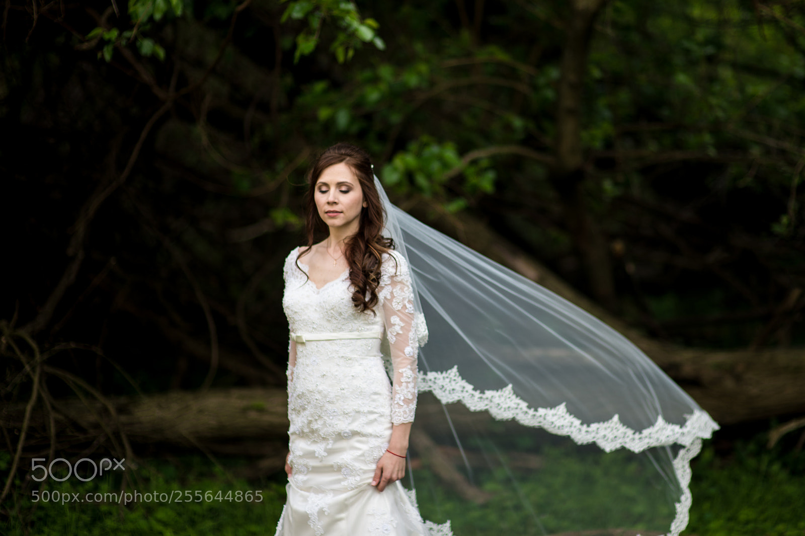 Nikon Df sample photo. Natasha&igor wedding photography