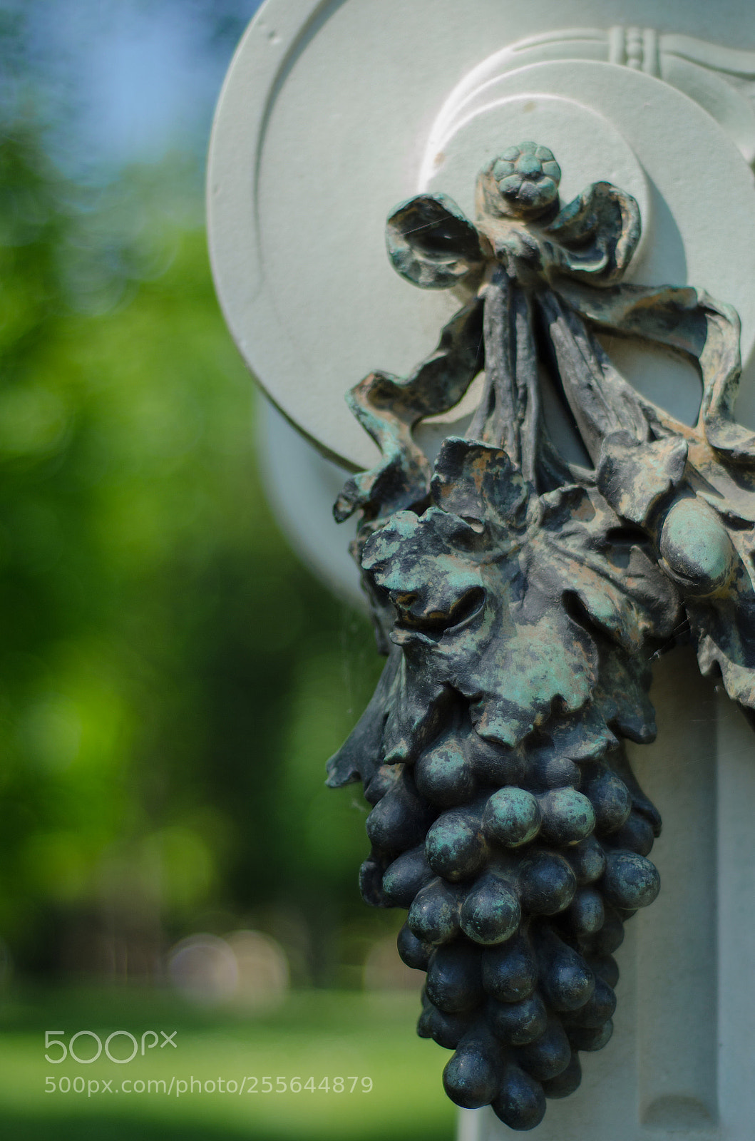 Nikon D7000 sample photo. Detail photography