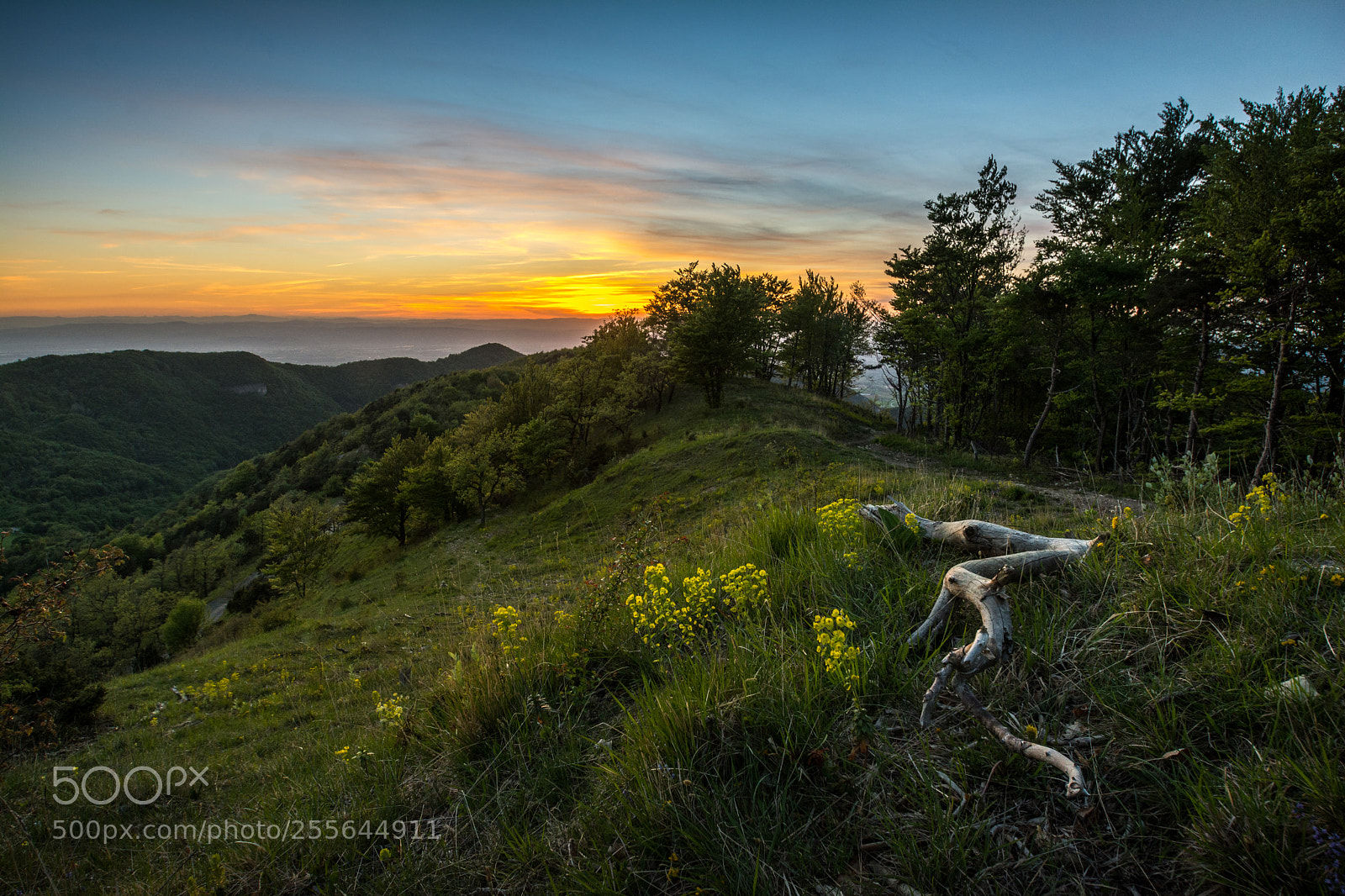 Nikon D7100 sample photo. Coucher de soleil depuis photography