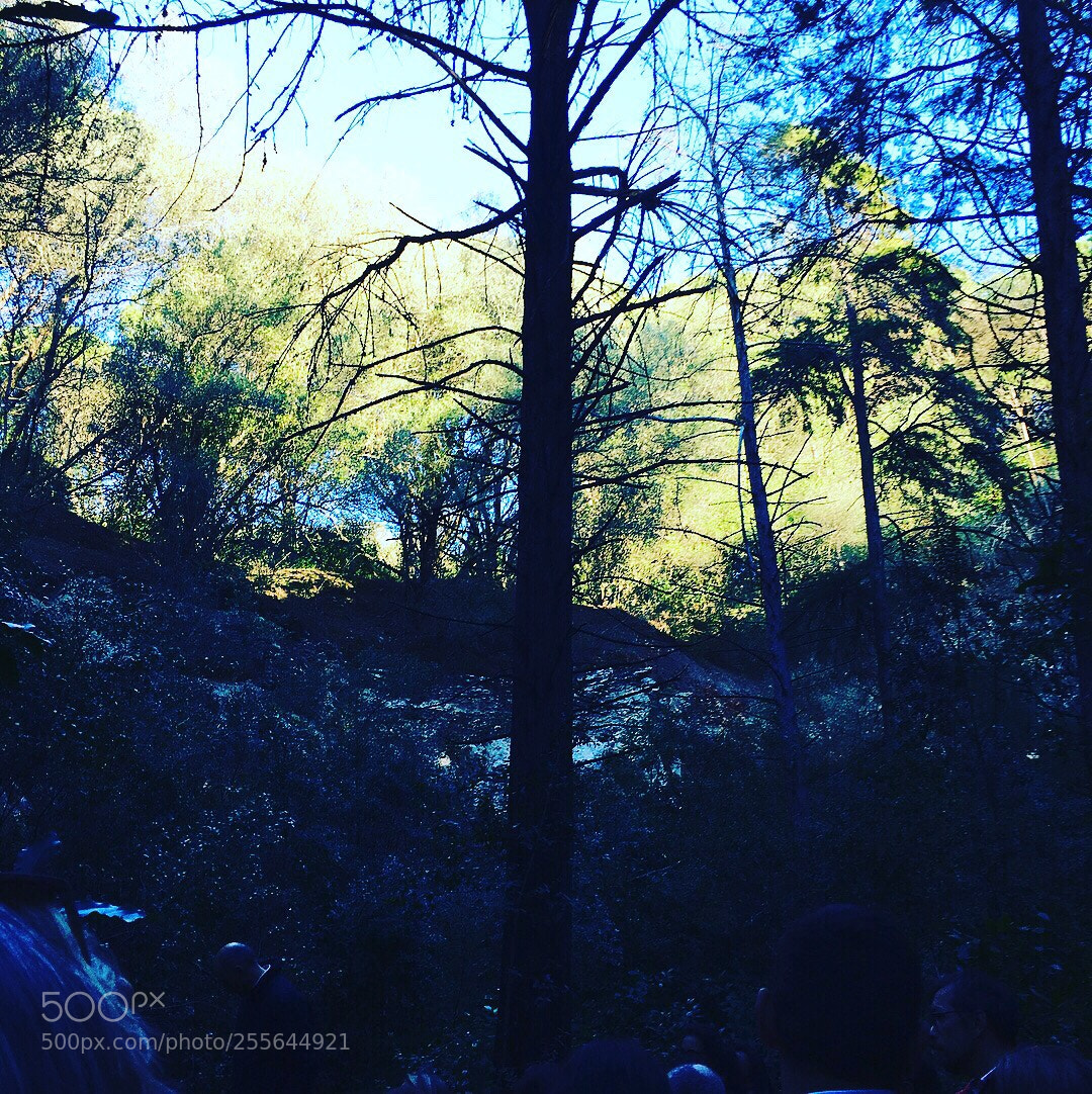 Apple iPhone 6s sample photo. Untitled photography