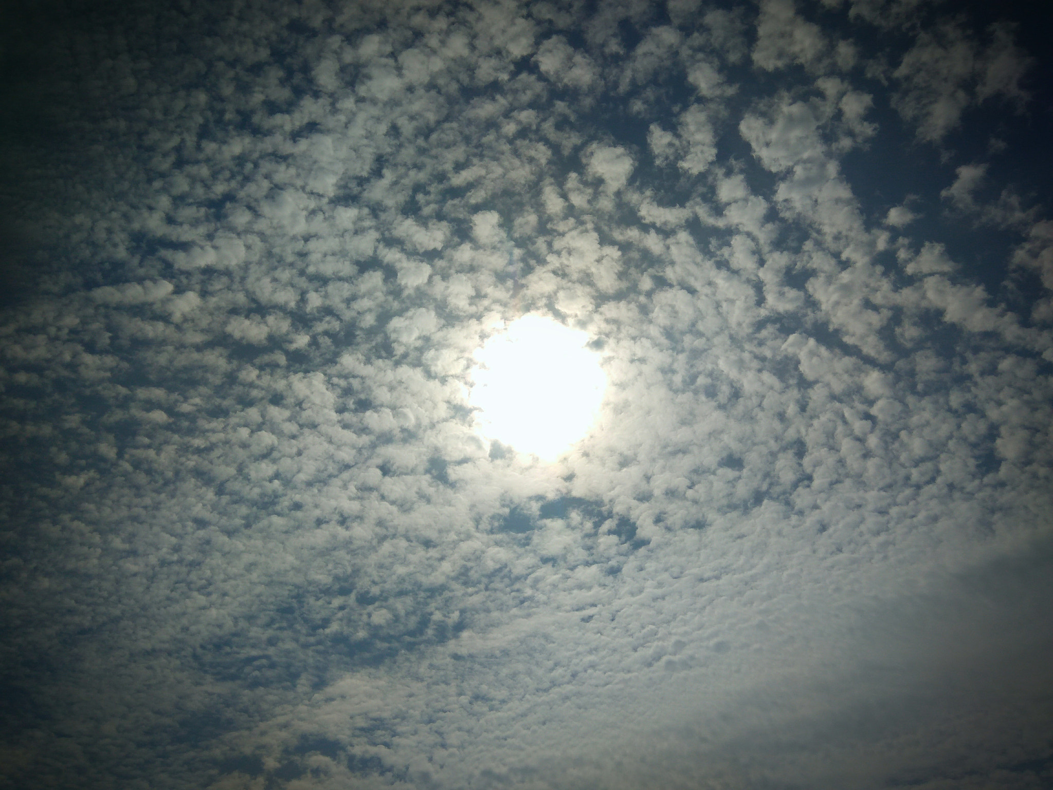 ASUS ZenFone 3 Max (ZC553KL) sample photo. Sunny sky photography