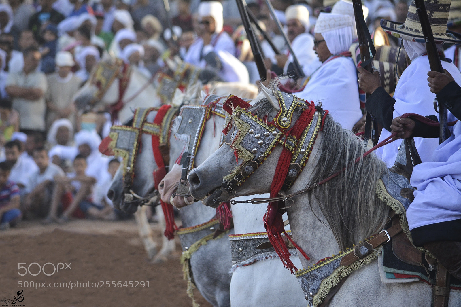 Nikon D5200 sample photo. فانطازيا photography