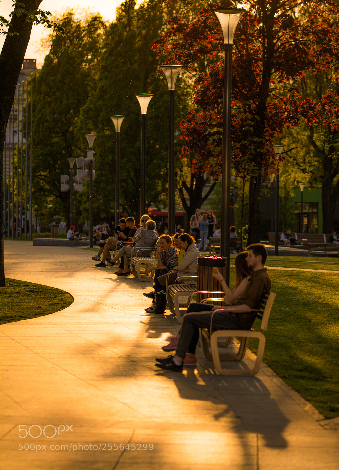 Nikon D5200 sample photo. Lublin photography