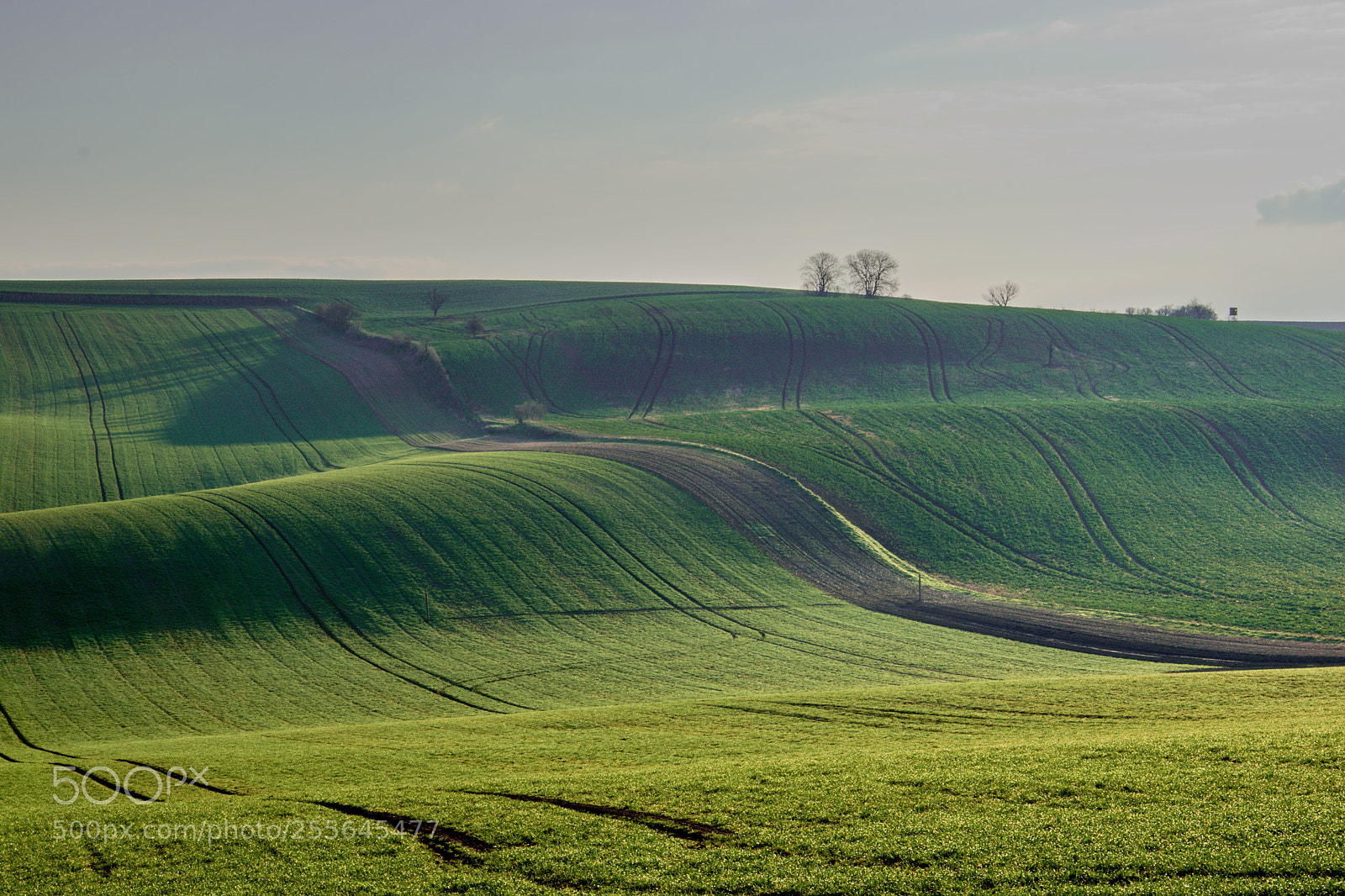 Nikon D3300 sample photo. Moravian waves photography