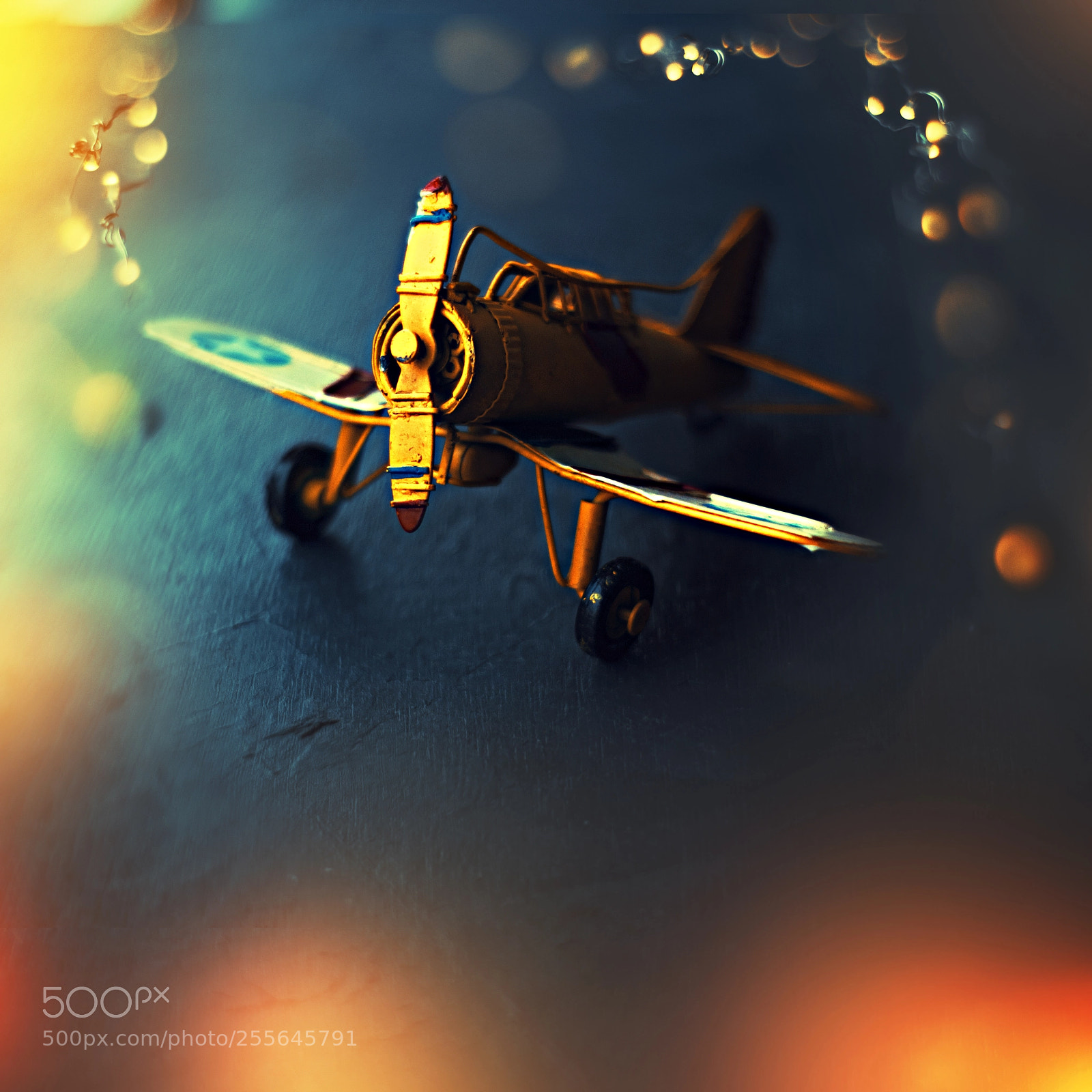 Canon EOS 700D (EOS Rebel T5i / EOS Kiss X7i) sample photo. Model plane! photography