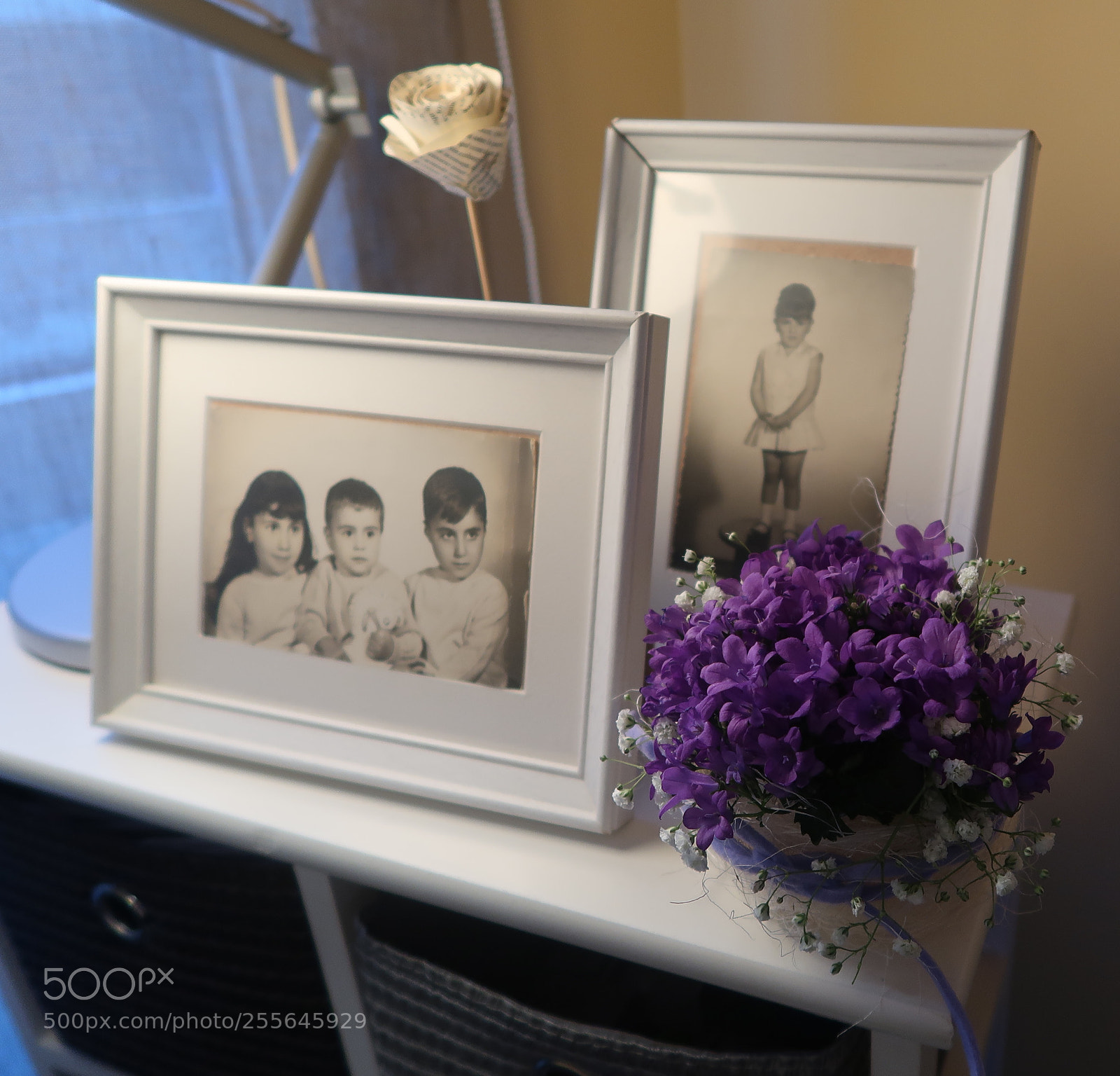 Canon PowerShot G7 X Mark II sample photo. Un regalito photography