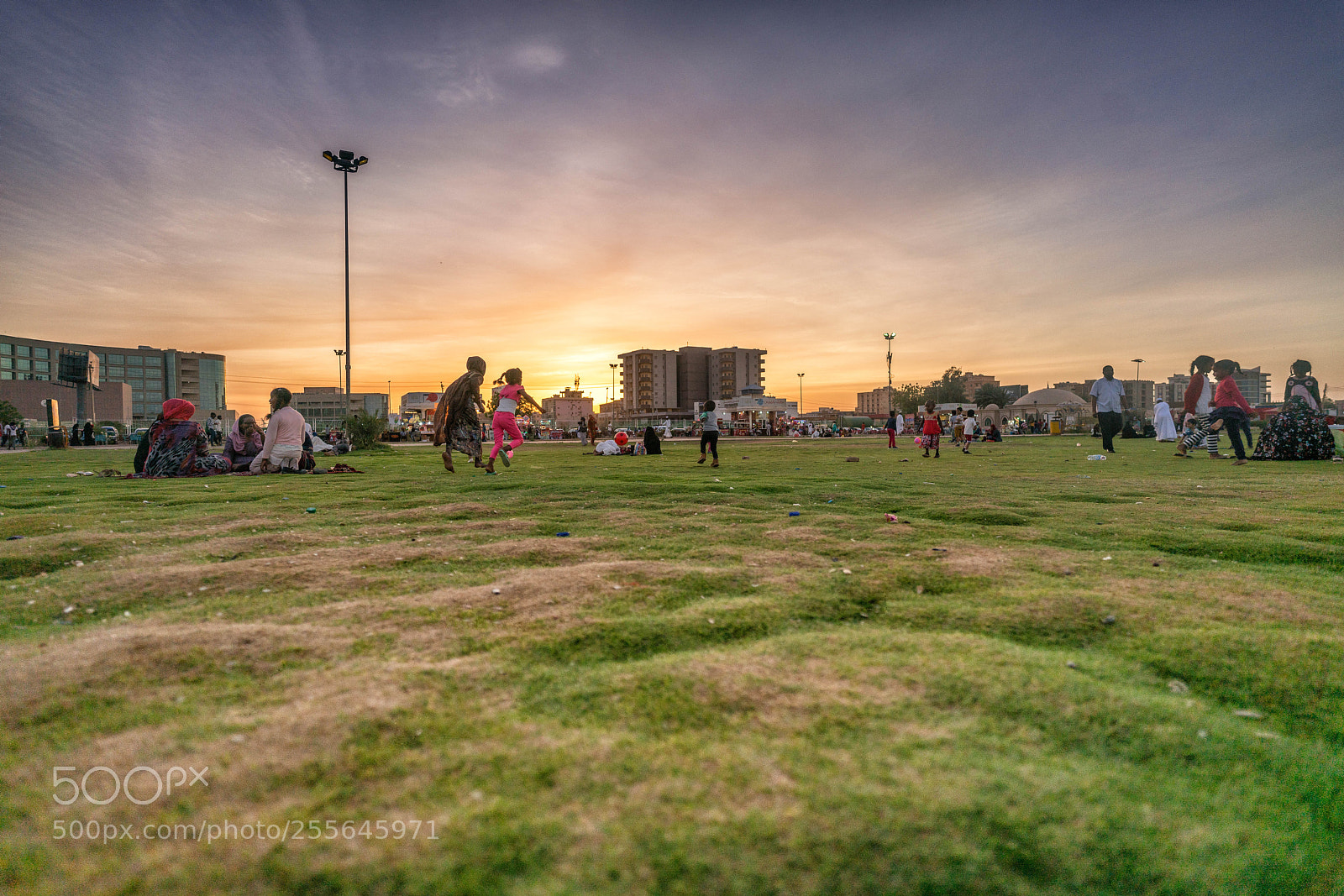 Sony a7R II sample photo. Fg photography
