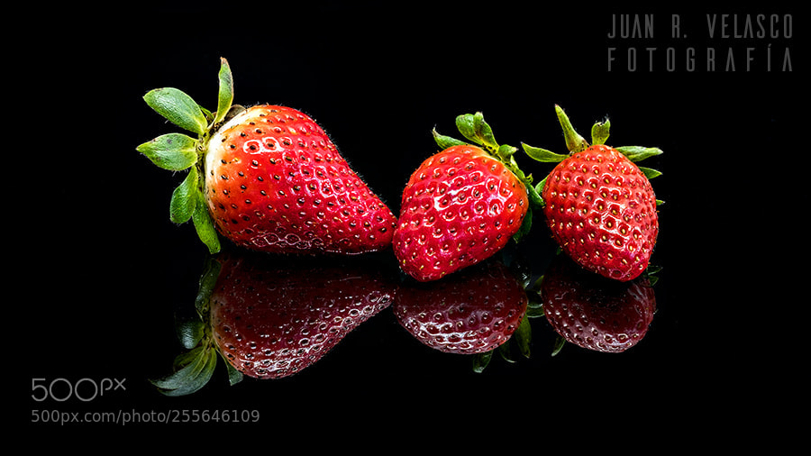 Fujifilm X-Pro2 sample photo. Alimentos 17-52 photography