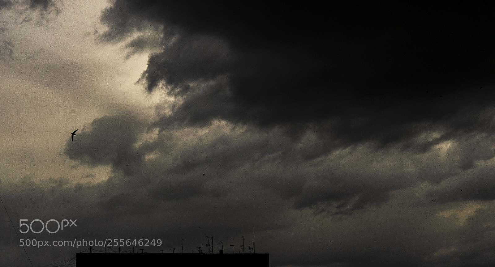 Sony Alpha NEX-5N sample photo. Cloudly photography