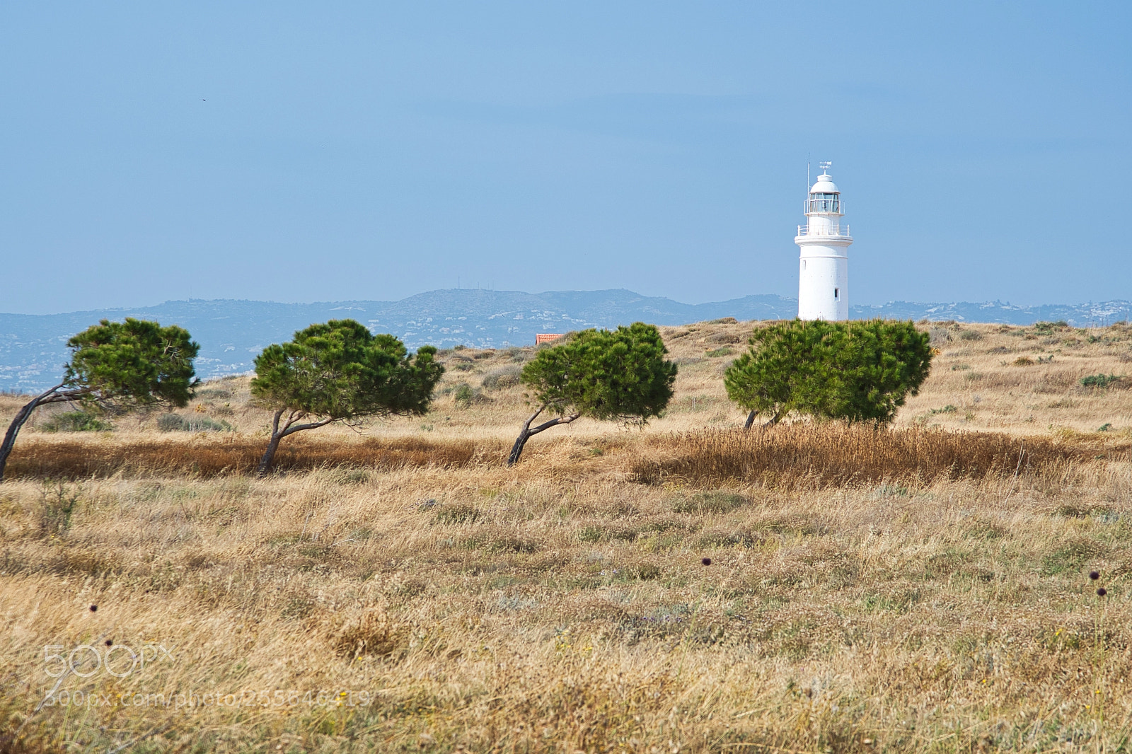 Nikon D500 sample photo. Carrying the lighthouse photography