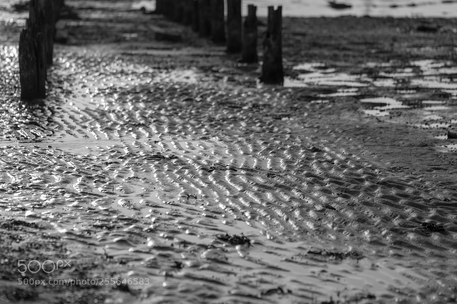 Sony a7 II sample photo. Beach melancholy photography