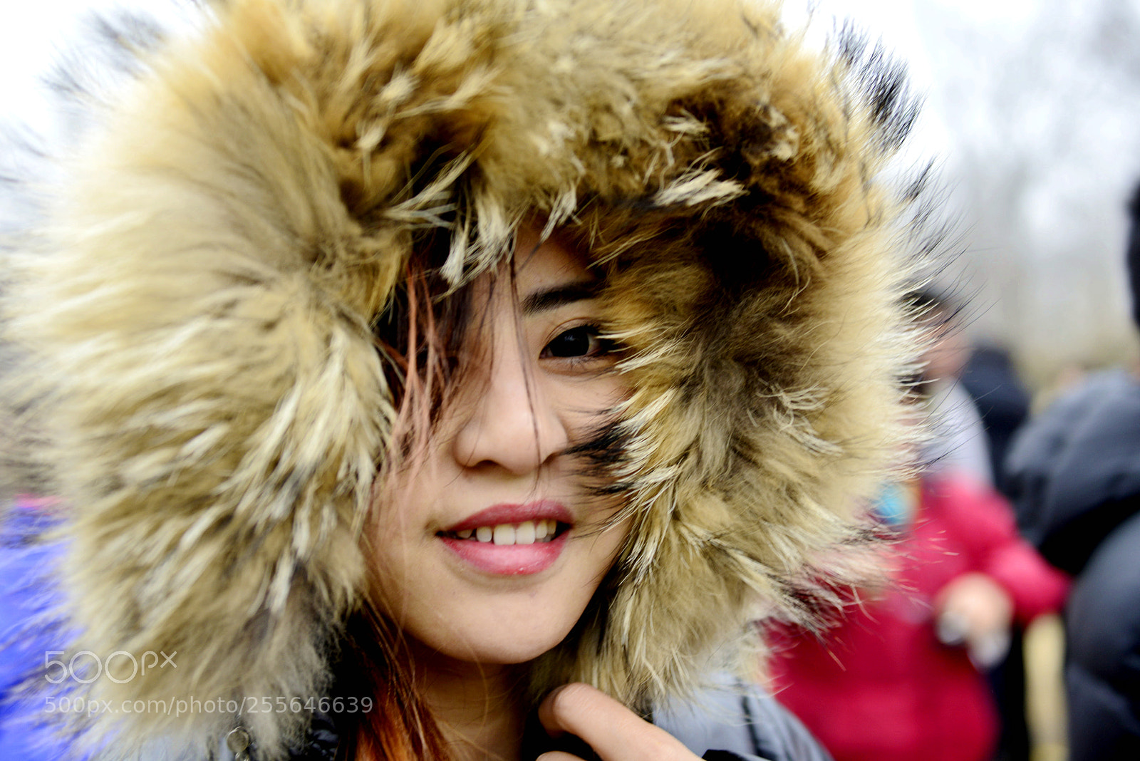 Nikon D800 sample photo. Untitled photography
