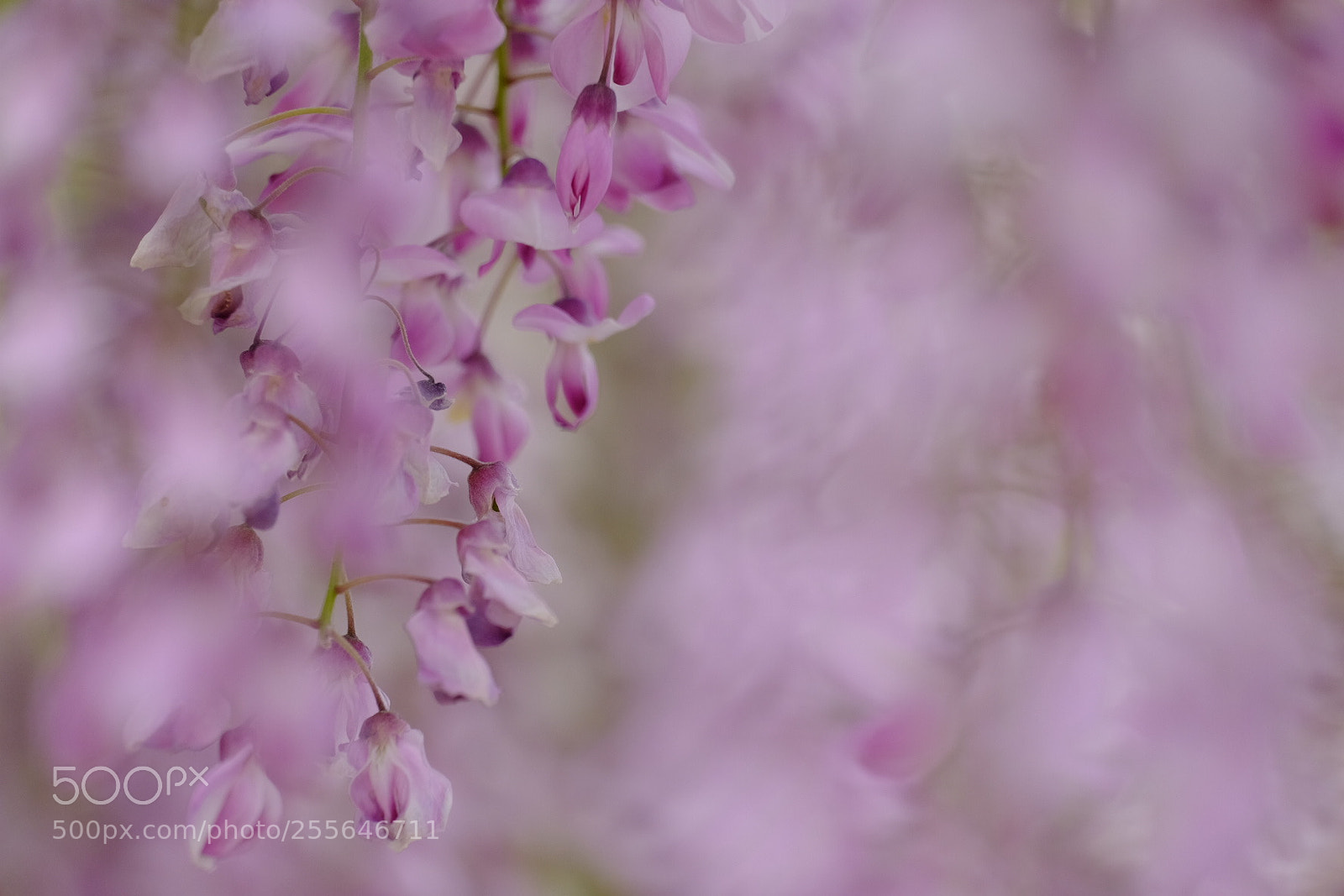 Fujifilm X-T1 sample photo. Untitled photography