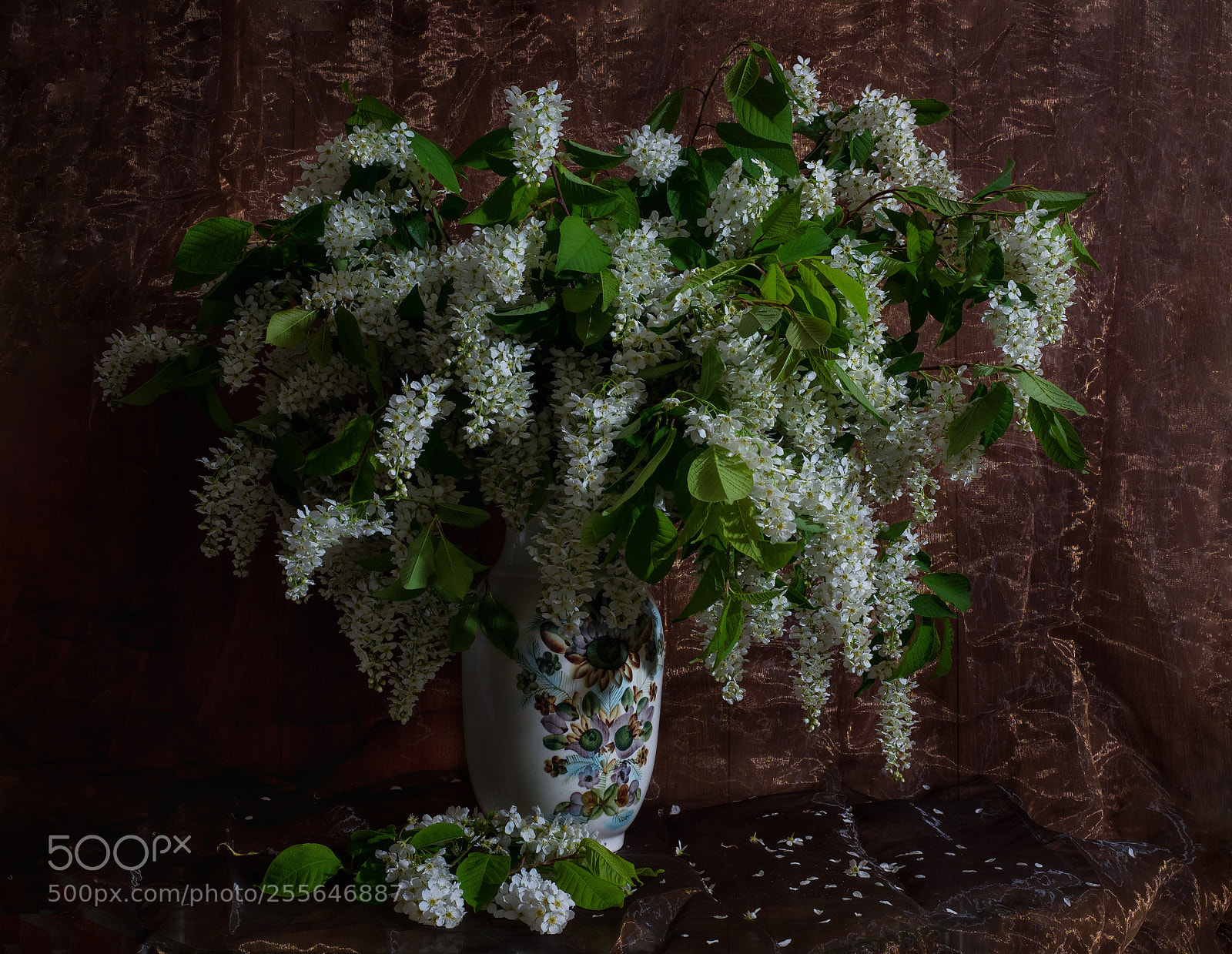 Olympus OM-D E-M1 Mark II sample photo. Olympus digital camera photography