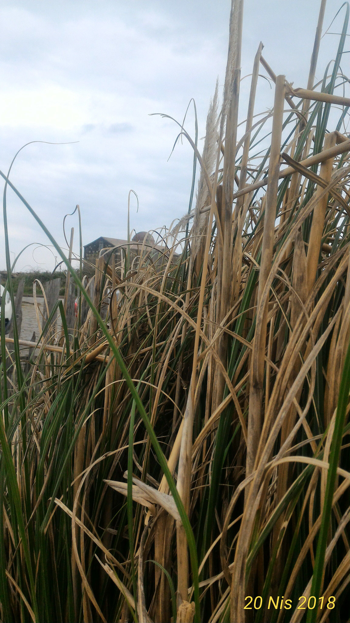 ASUS ZenFone 2 (ZE551ML) sample photo