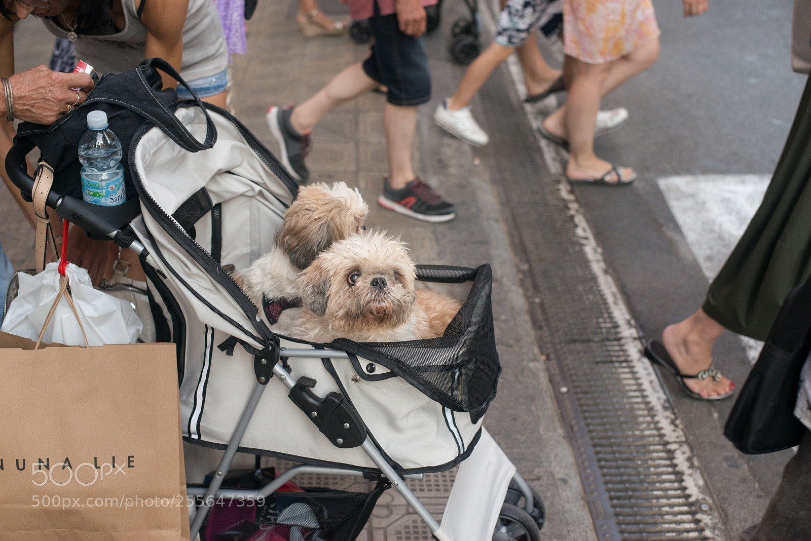 Nikon D800 sample photo. 506.jpg photography