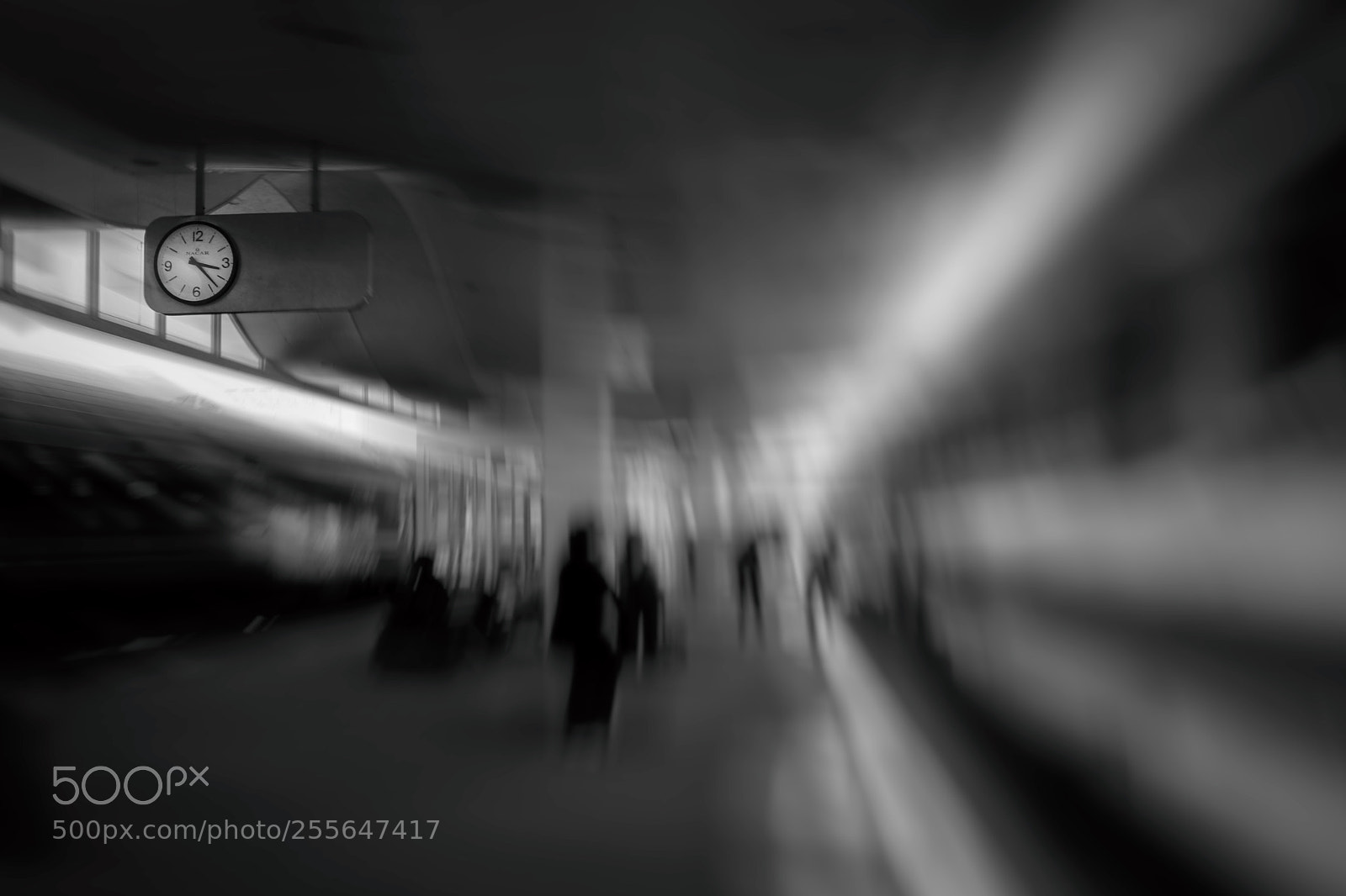 Canon EOS 80D sample photo. Untitled photography