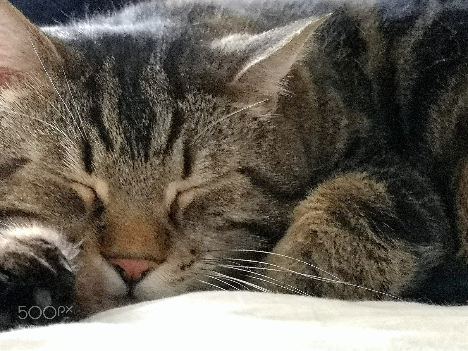 HUAWEI CLT-L09 sample photo. Wake me up when photography