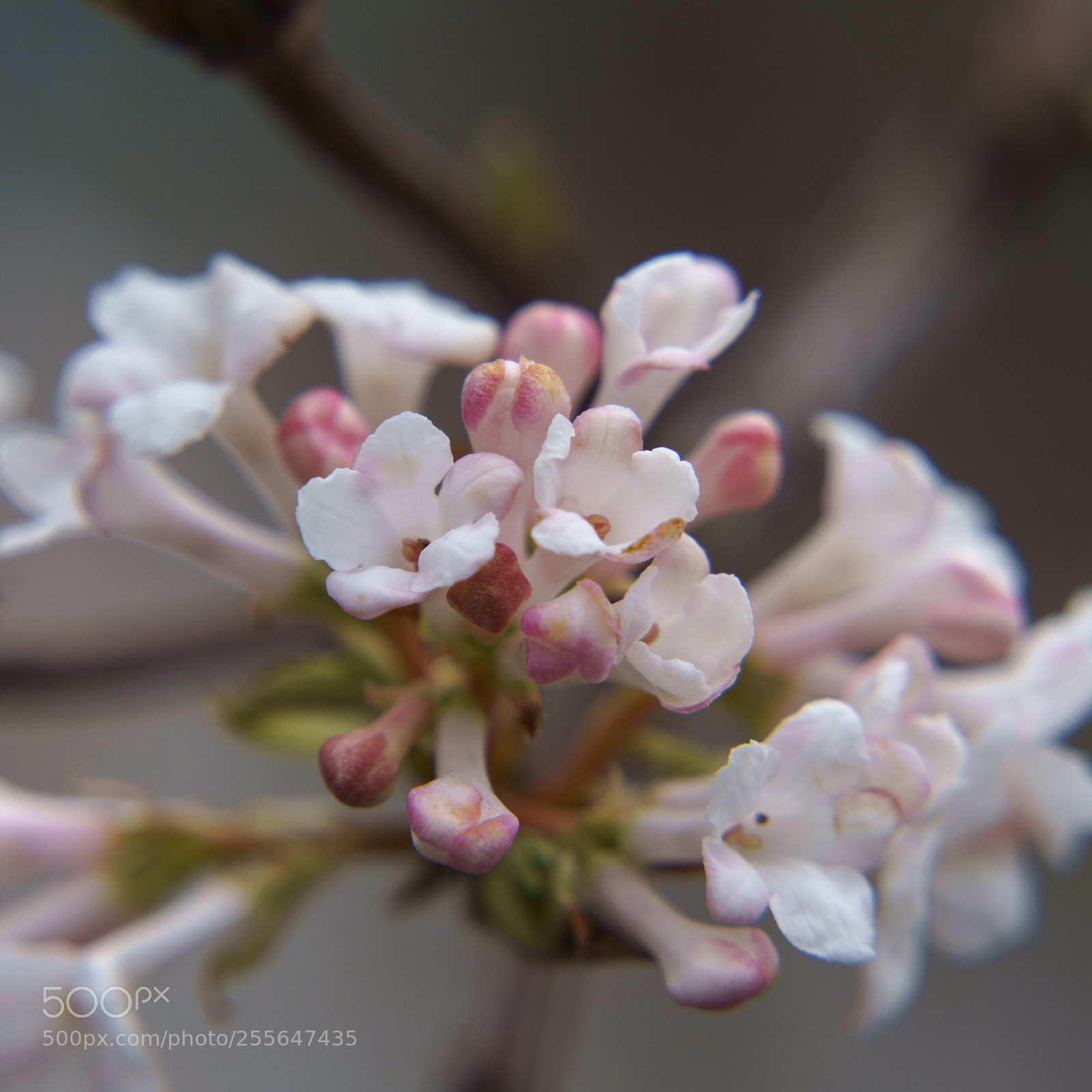 Sony a6000 sample photo. Untitled photography