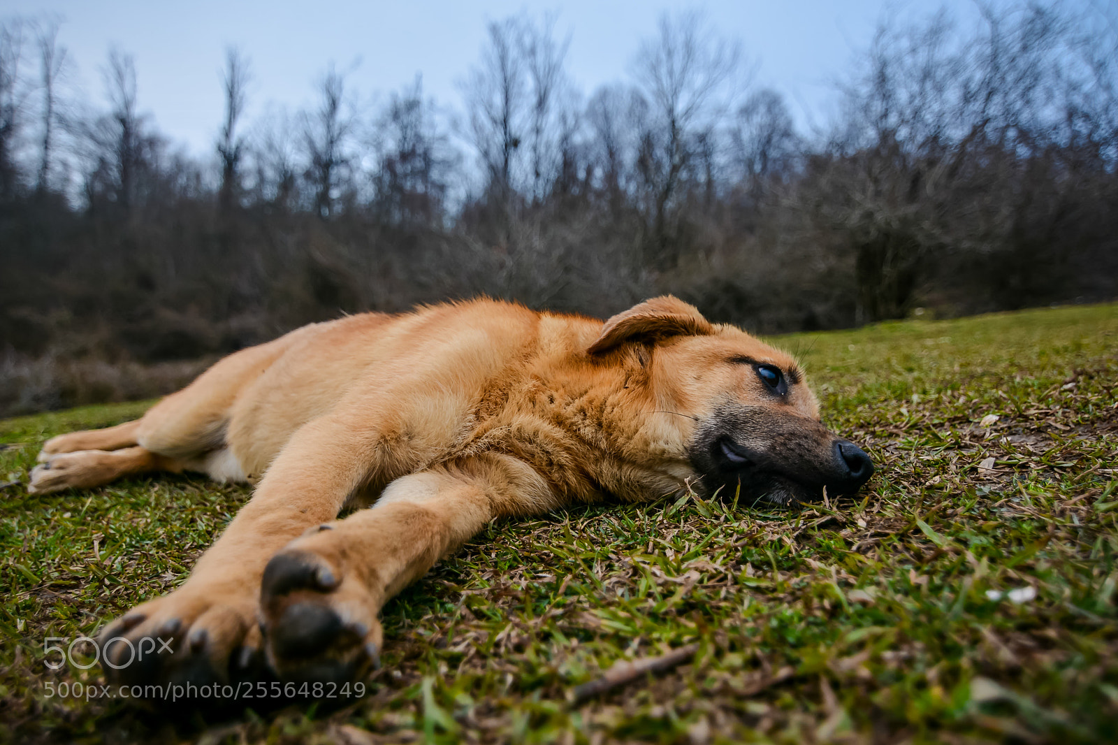 Nikon D7100 sample photo. Colors photography