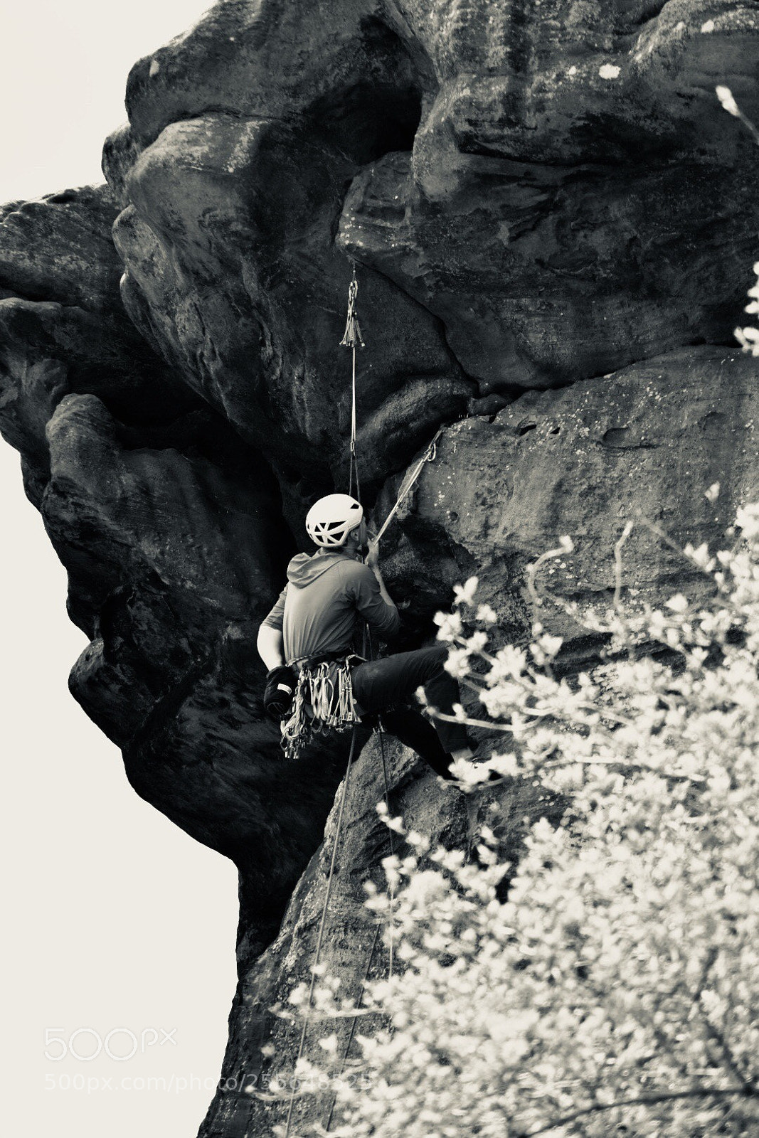 Nikon D5500 sample photo. Rock climbing  photography