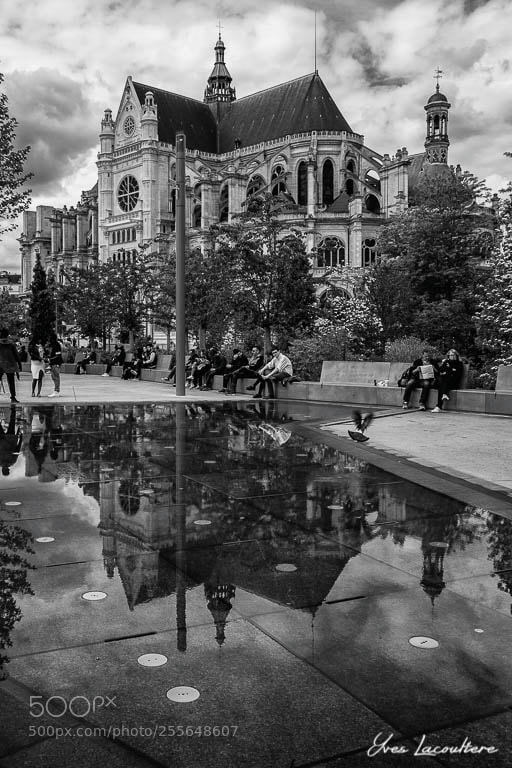 Nikon D500 sample photo. Saint-eustache church photography