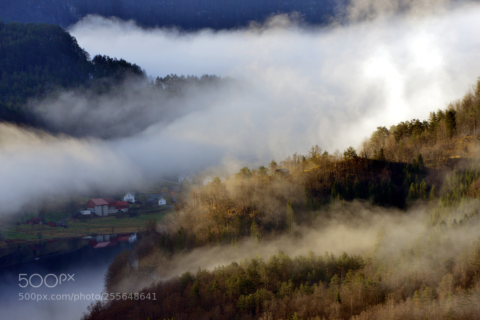 Nikon D800 sample photo. Morning photography