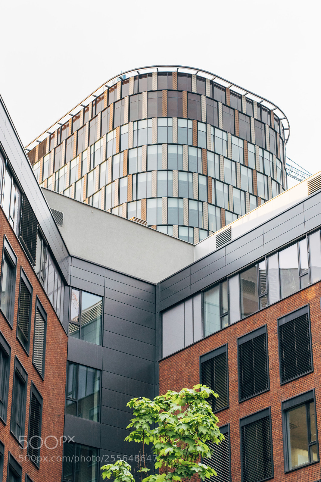 Canon EOS 80D sample photo. Twin city 2 photography