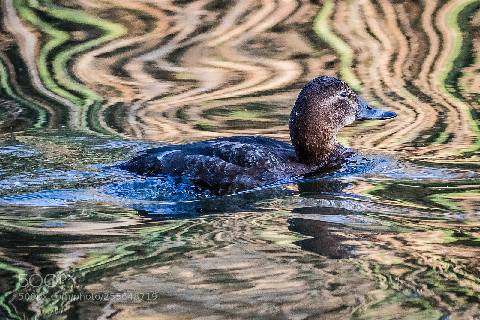 Canon EOS 6D sample photo. Waves and reflections photography