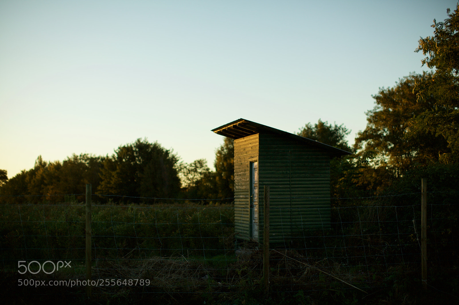 Canon EOS 5D Mark II sample photo. () photography