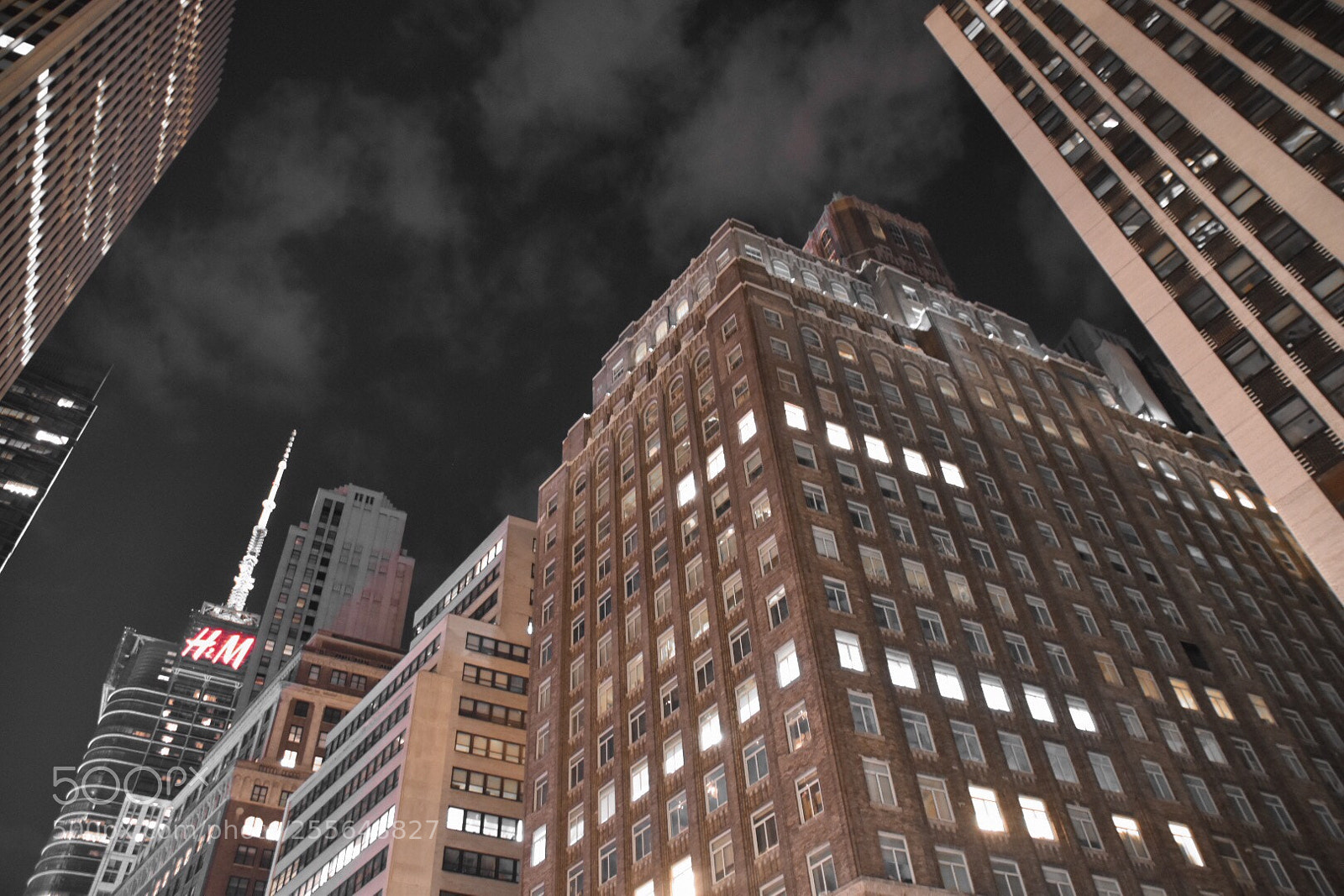 Nikon D5500 sample photo. Untitled photography