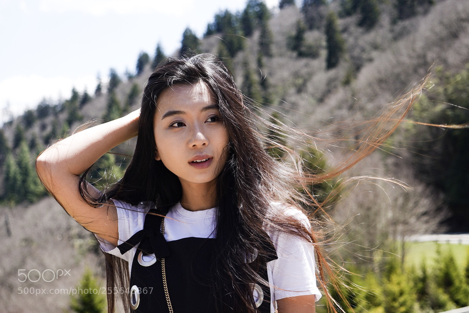 Sony a7R III sample photo. Untitled photography