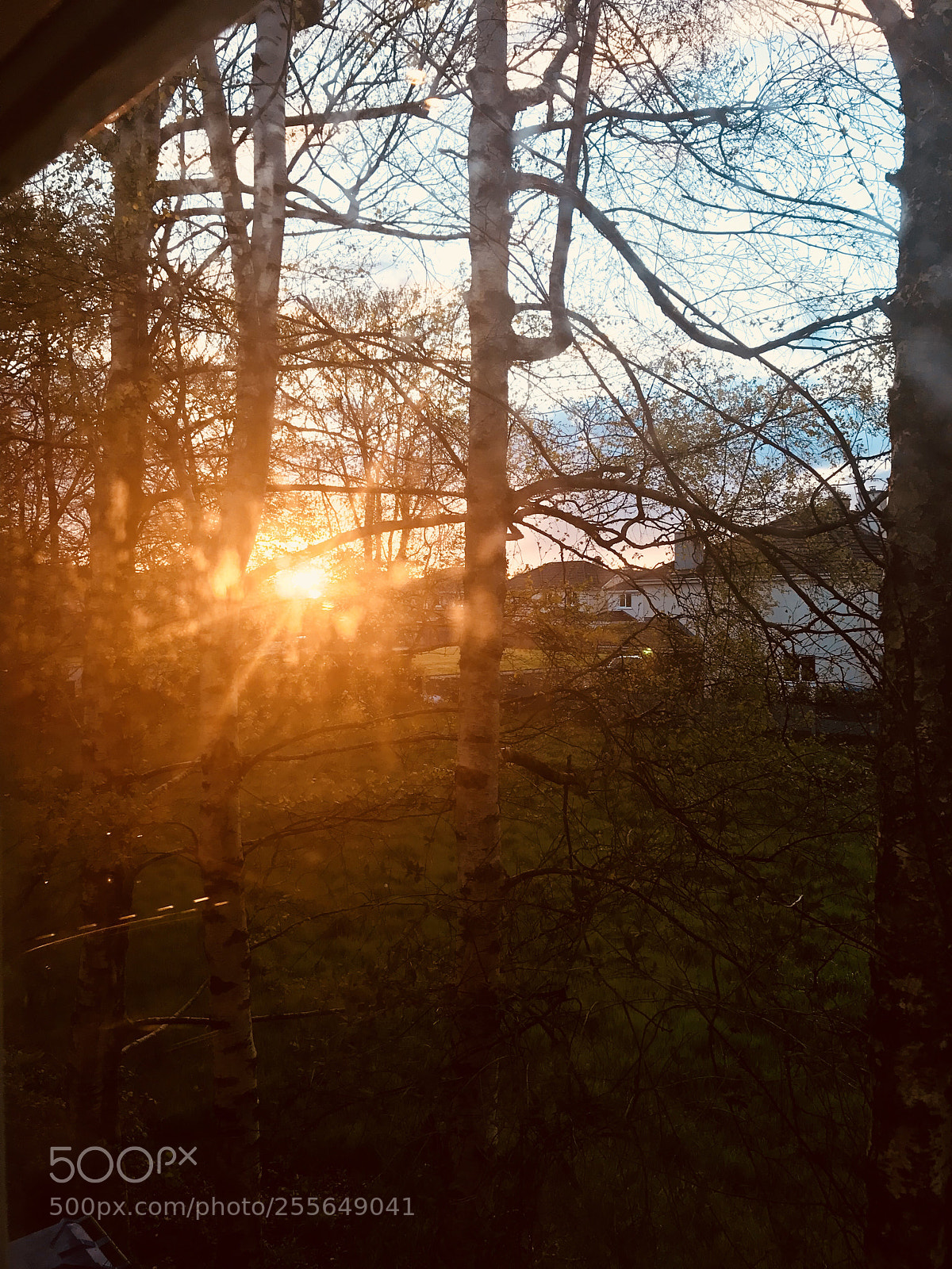 Apple iPhone 7 sample photo. Sunset in killarney  photography
