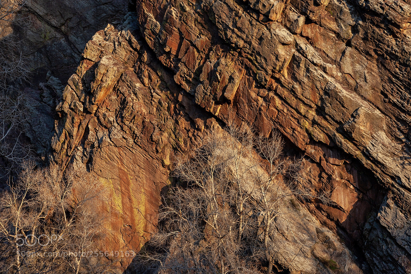 Canon EOS 5D Mark II sample photo. Rich textures photography