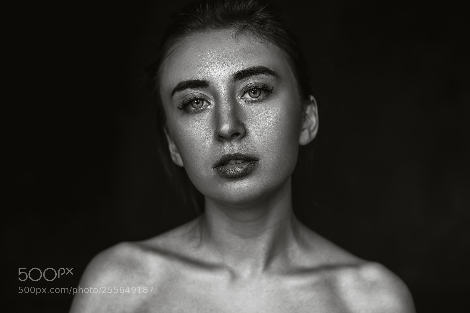Nikon D610 sample photo. Bombard photography
