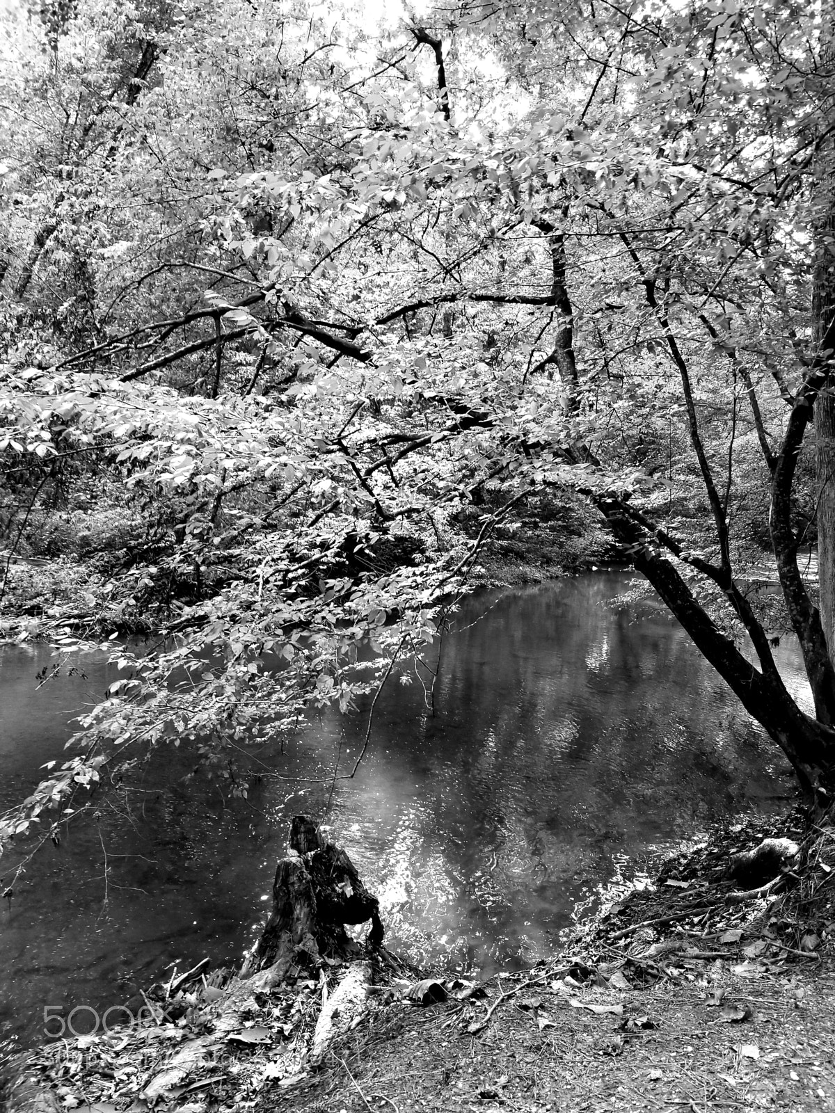Samsung Galaxy S8+ sample photo. By the creek photography