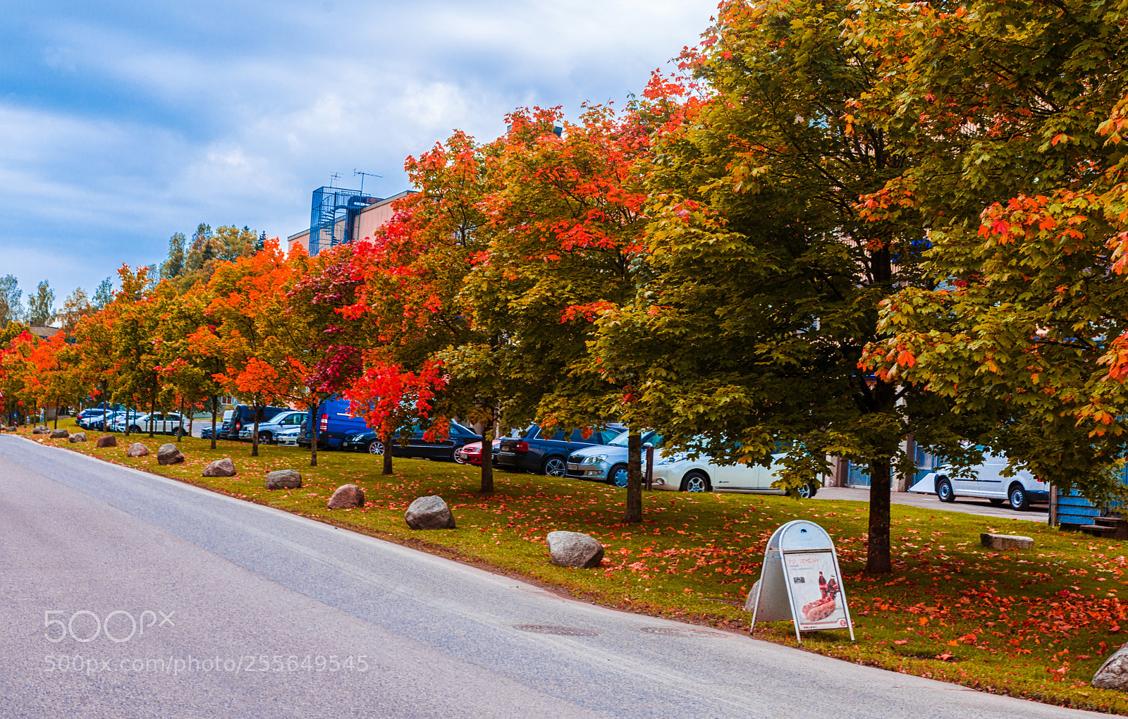 Nikon D800 sample photo. Row. photography