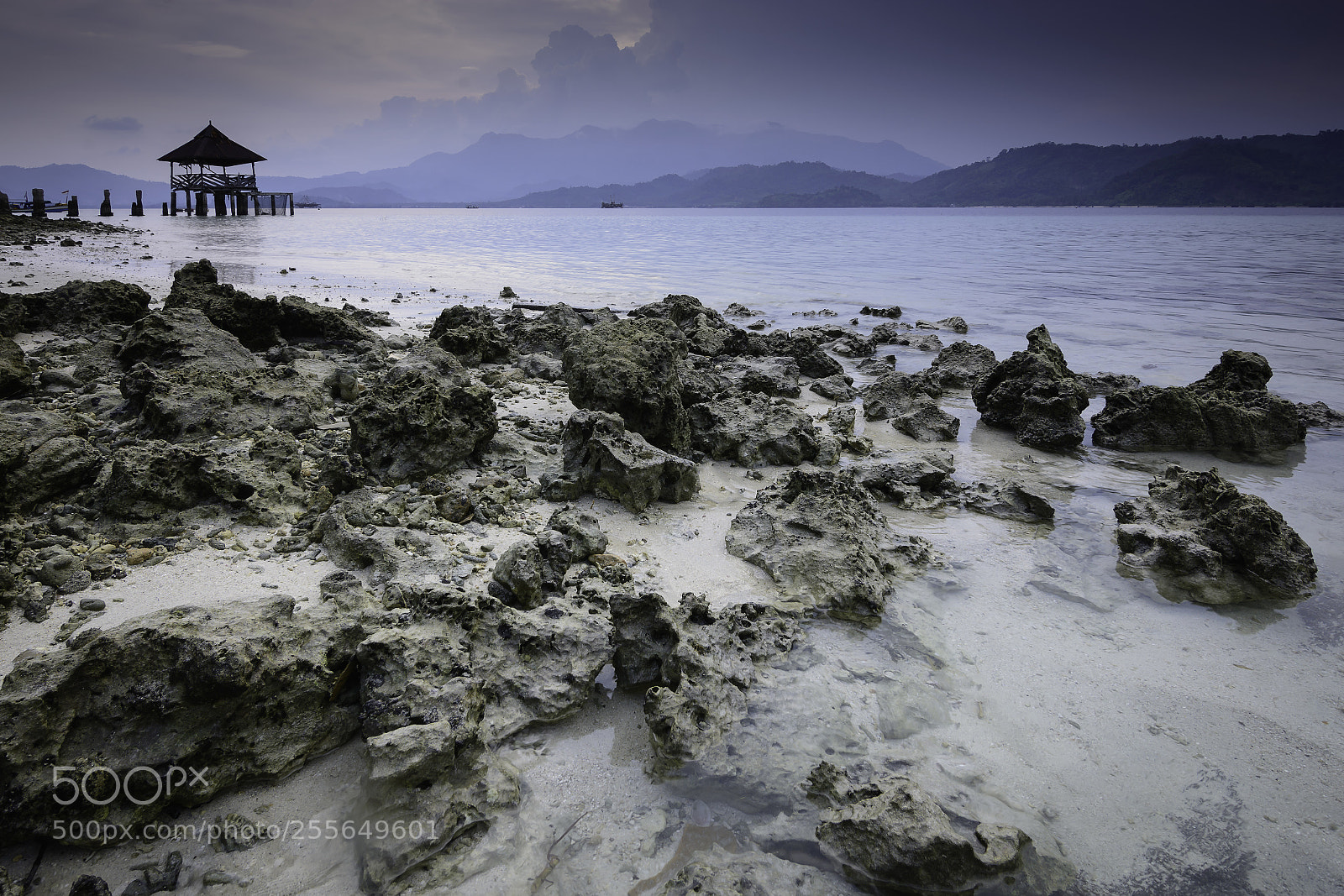 Nikon D7100 sample photo. Tanjungputus4 photography