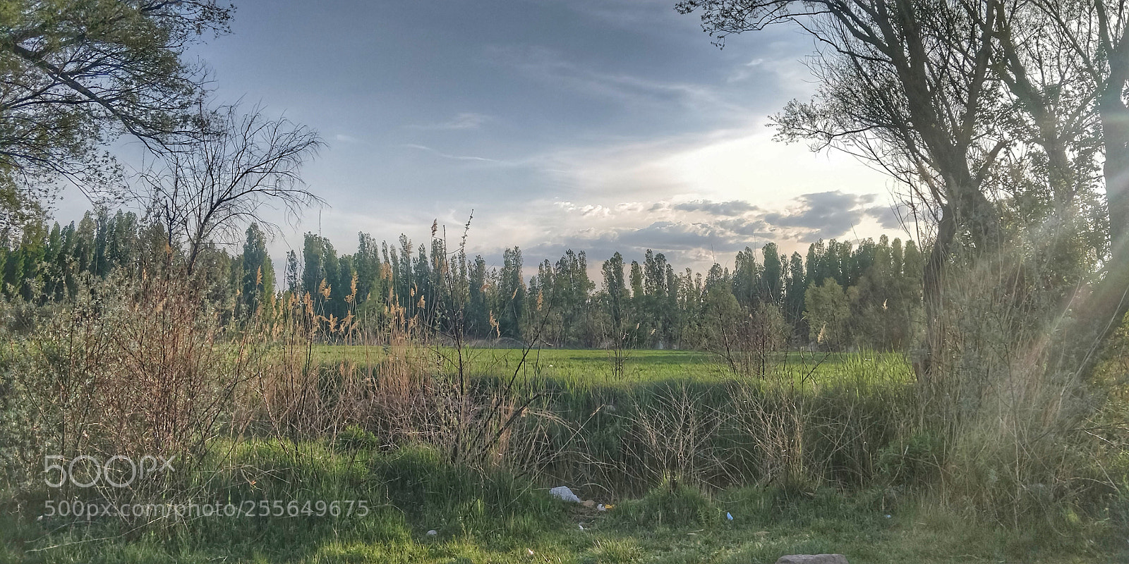 OnePlus 5T sample photo. Untitled photography