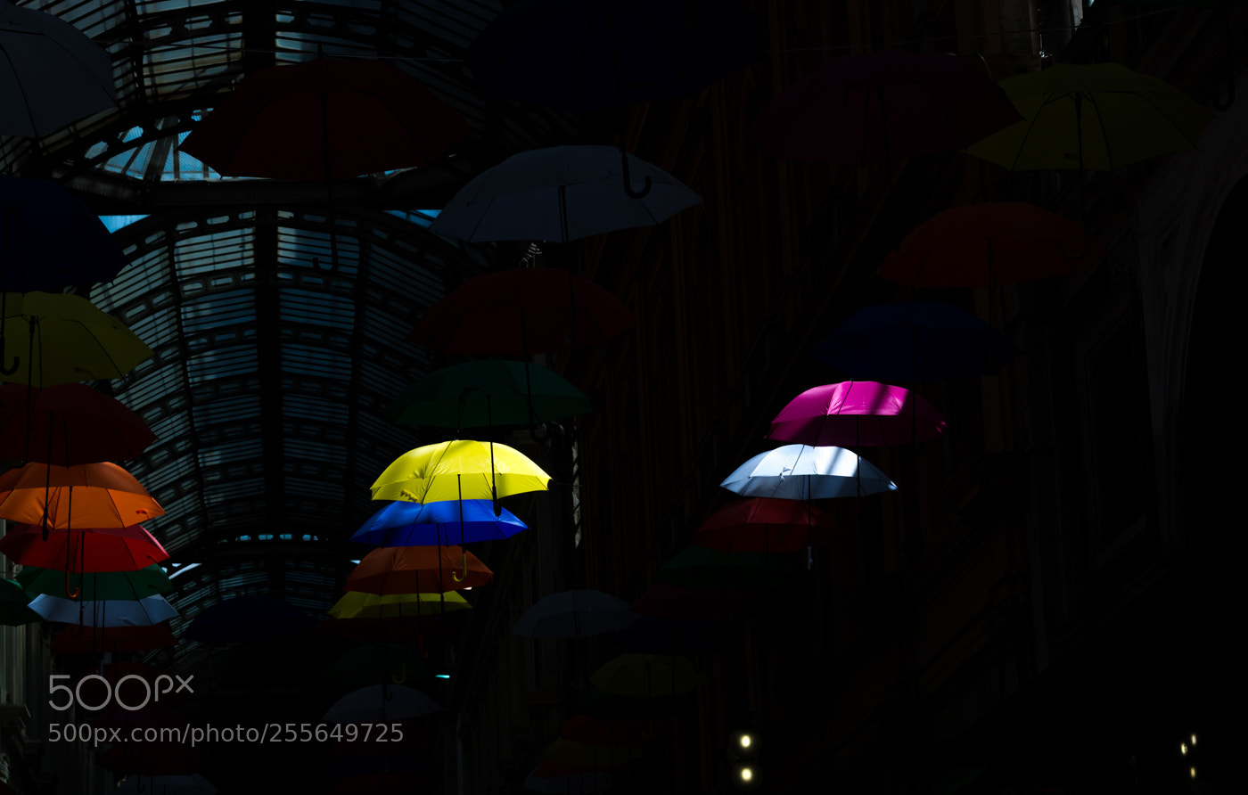 Nikon D7100 sample photo. Light photography