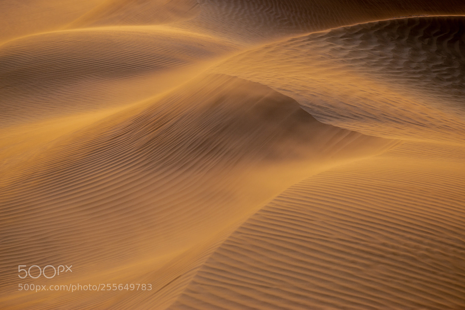 Canon EOS 6D sample photo. Sand storm photography