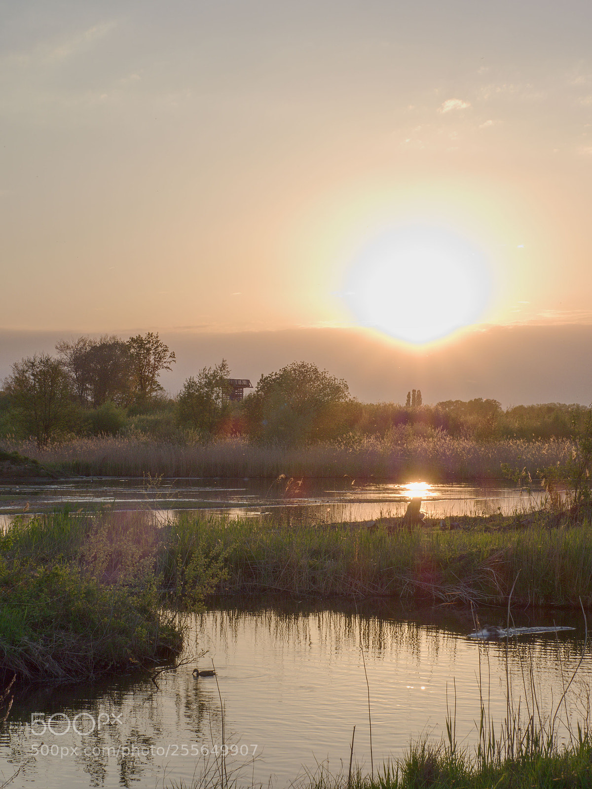 Olympus OM-D E-M1 sample photo. Sonnenuntergang photography