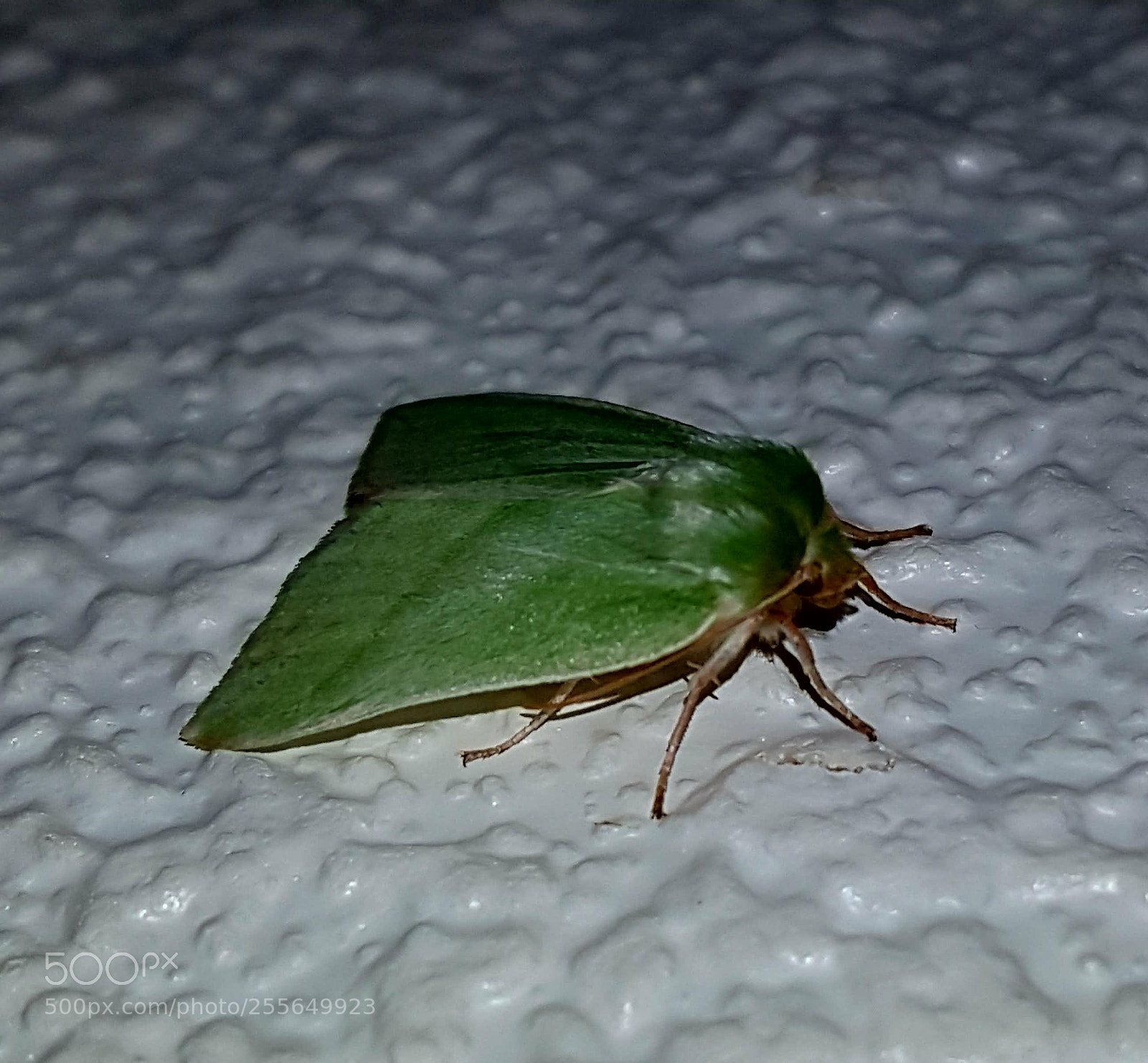 Samsung Galaxy S7 sample photo. Untitled photography